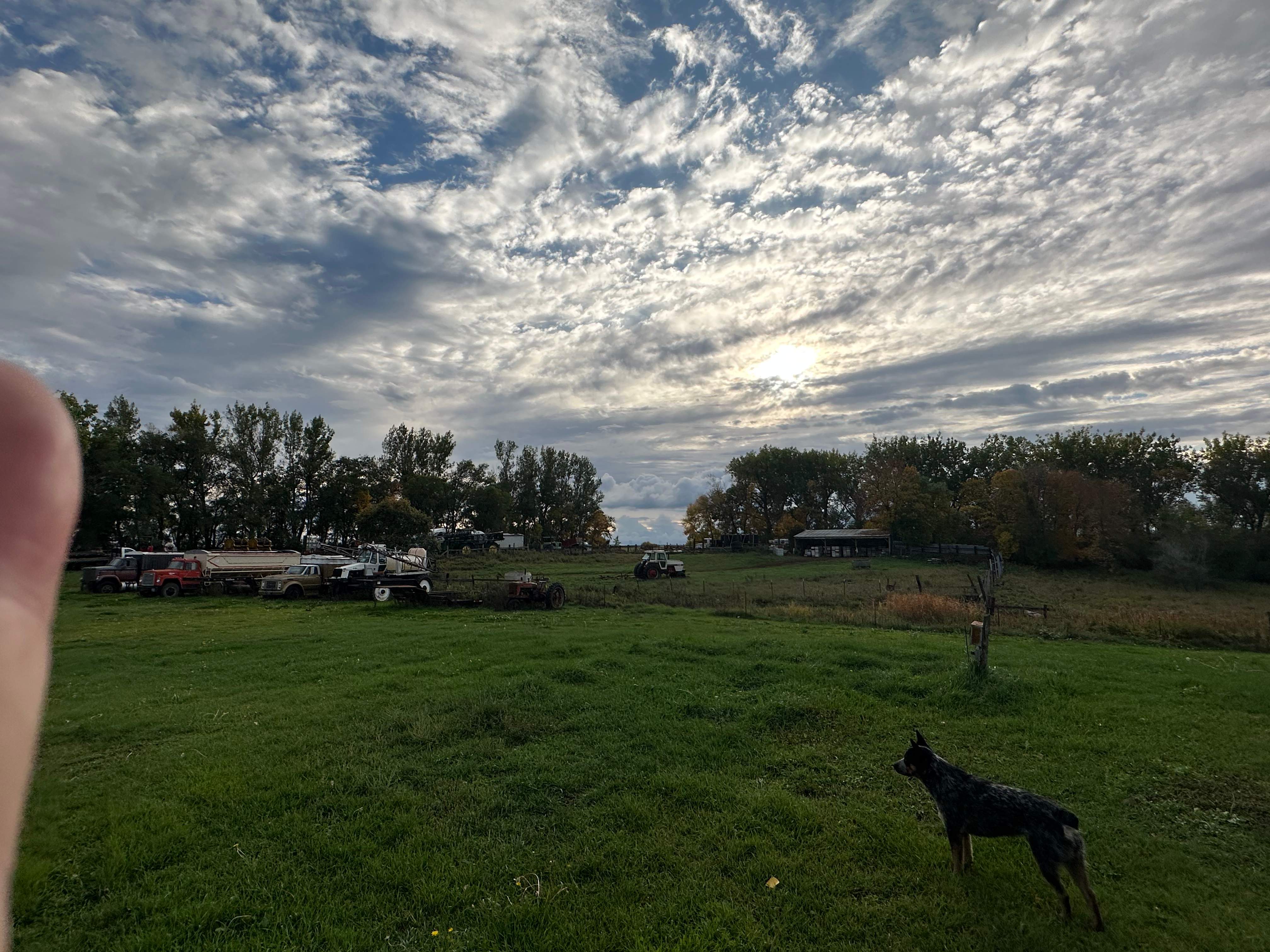 BeeGirl's Honey House in the Midwest by Rockwall Honey Bee Company
