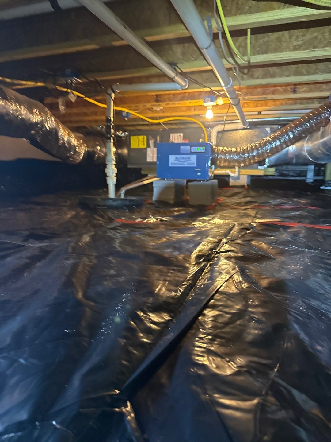 Bathroom and Crawlspace Water Damage and Mold by Healthy Home Solutions