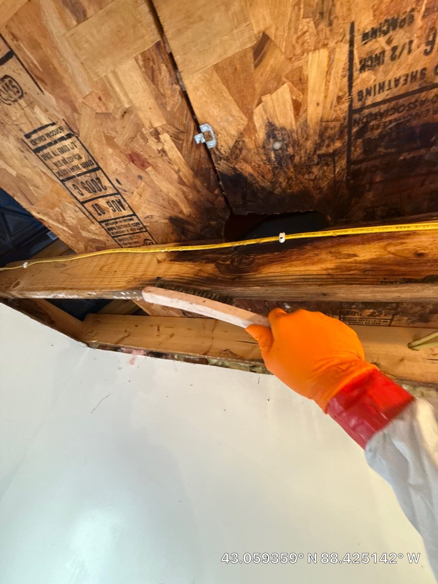 Mold Remediation for Delafield Residential Property by Dry Source Property Restoration 