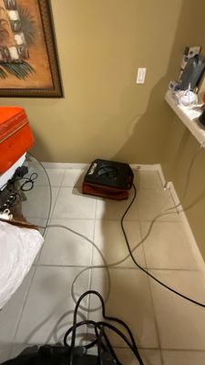Black Mold Removal — Bonita Springs, FL
