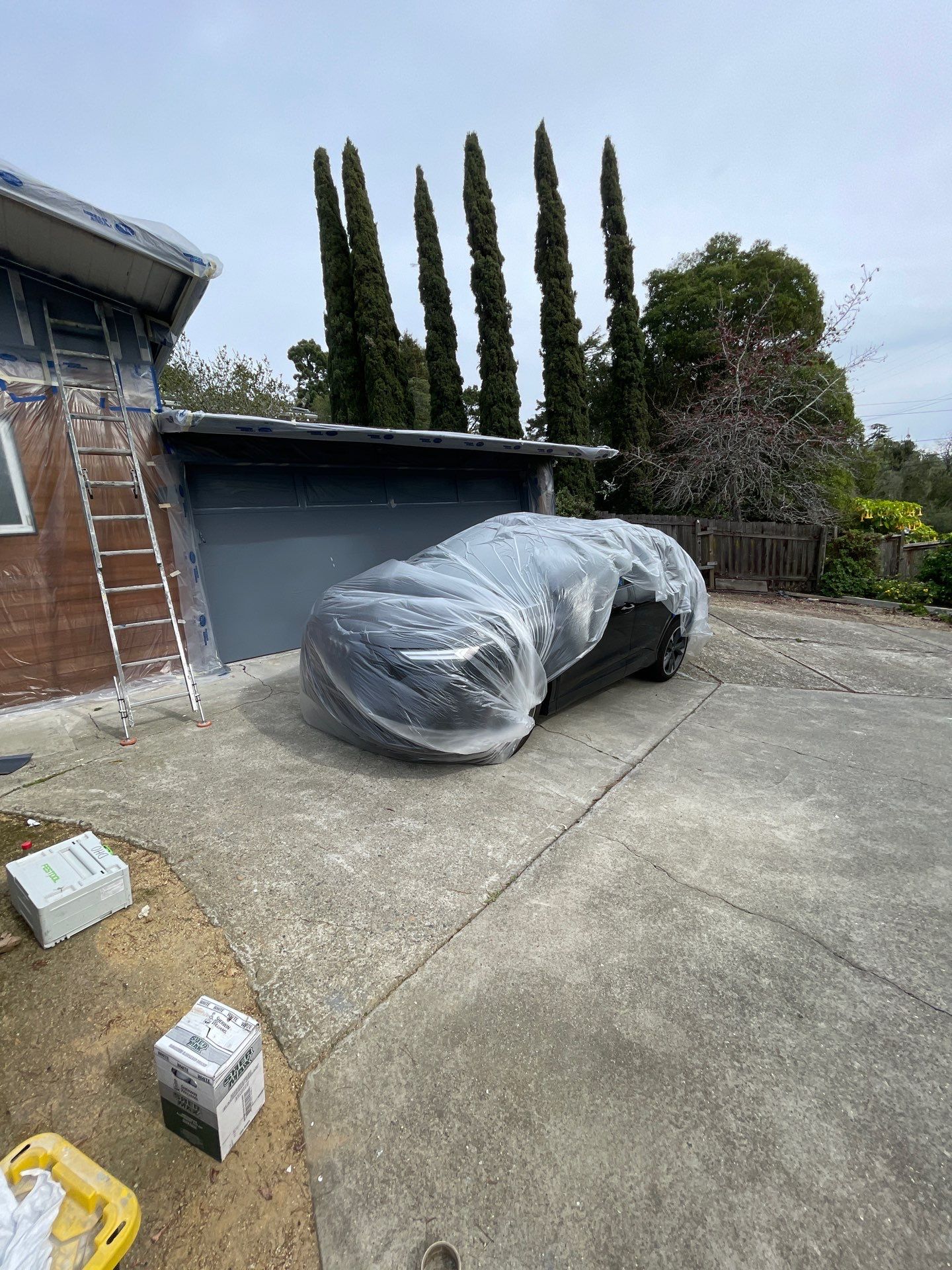 modern painting Exterior modern painting by Herrera’s Bay Area Painting inc.
