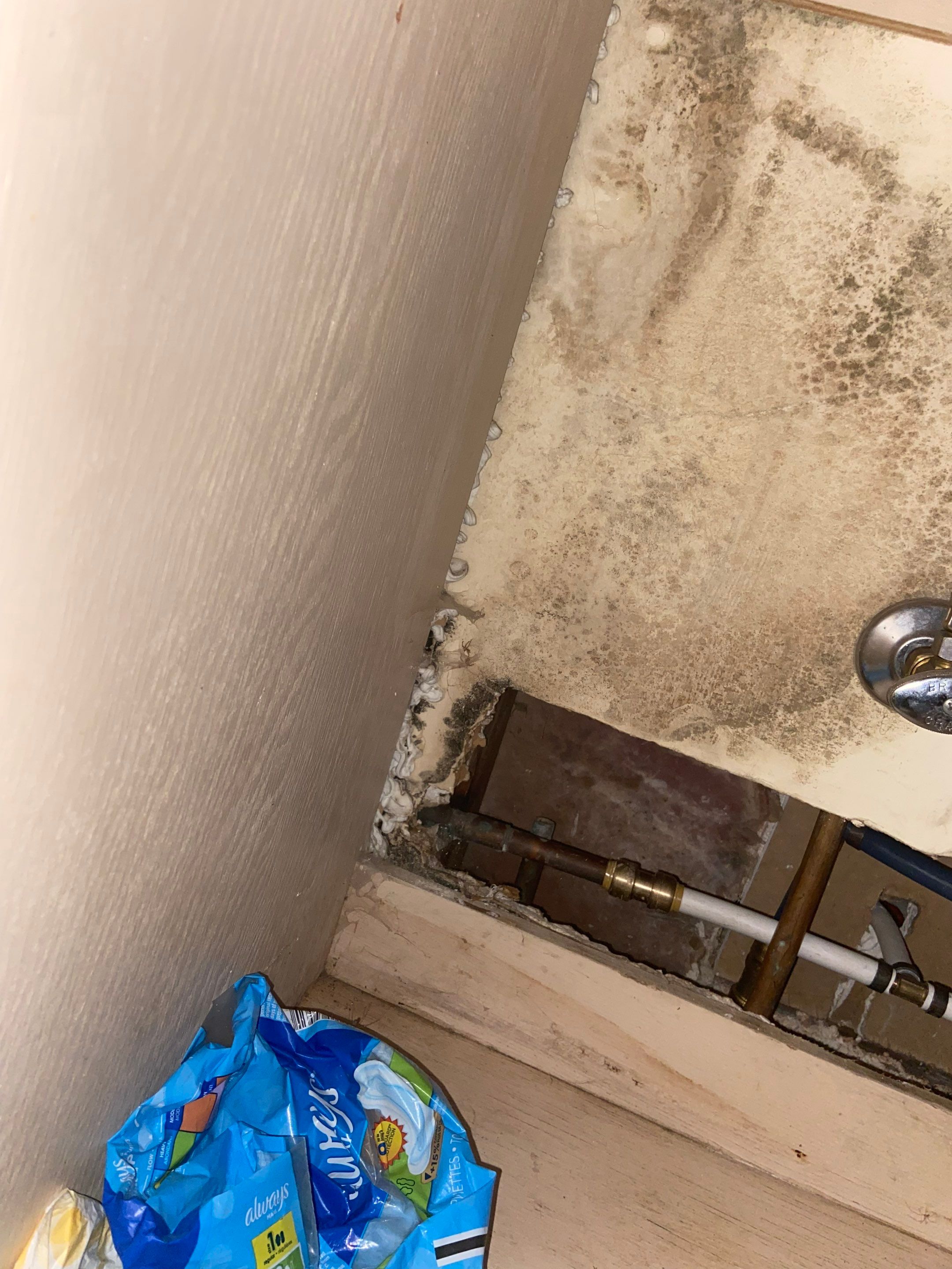 Ceiling Repair by YVR Construction Group