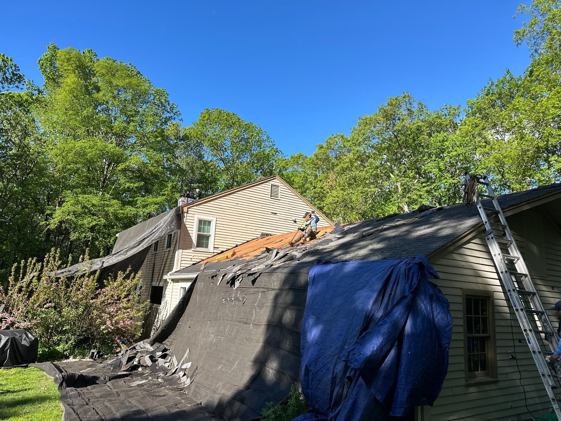 Roofing | Carlisle by Mighty Dog Roofing of Greater Middlesex County
