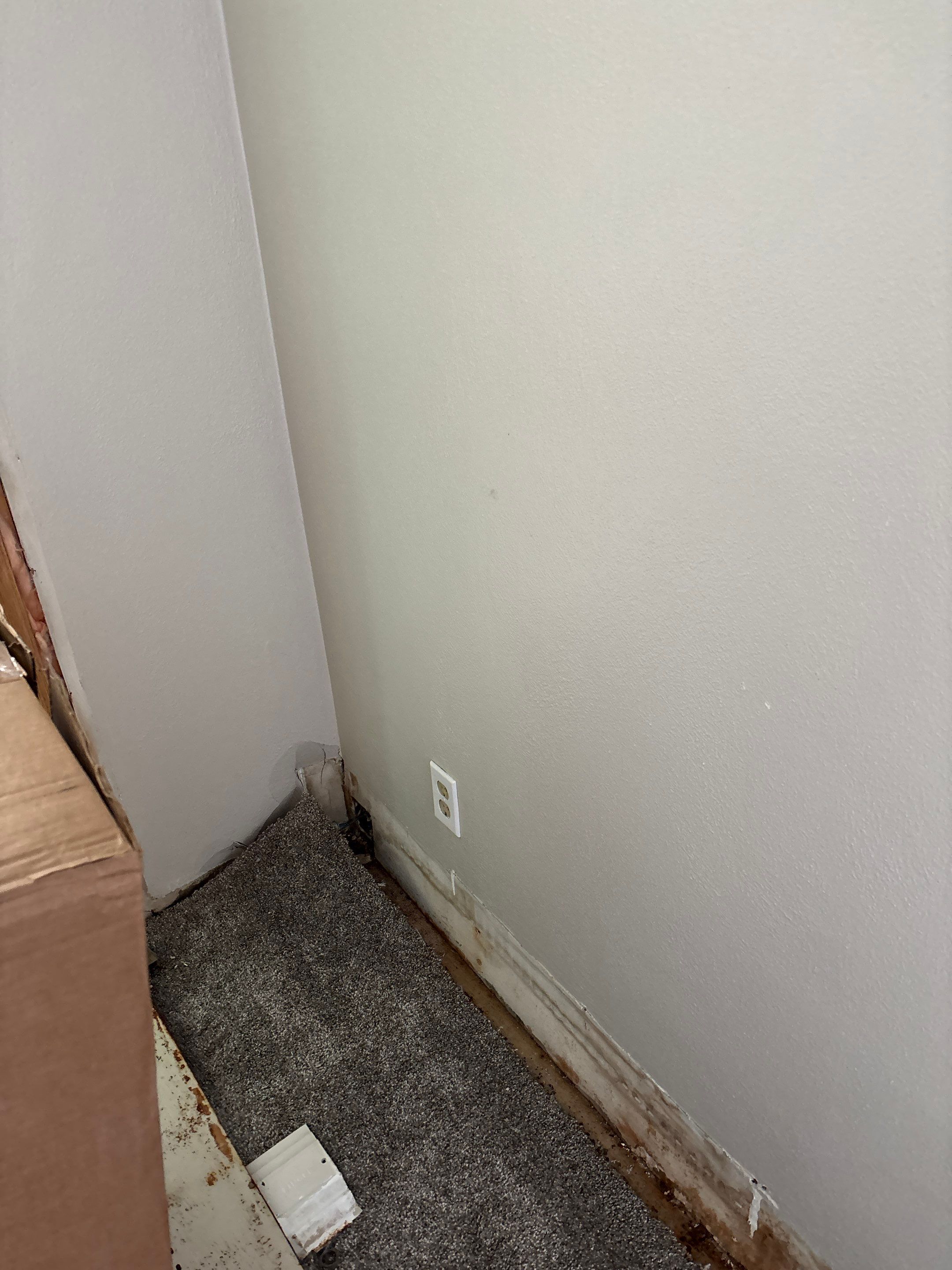 Walls Finishing by OCS Contracting Services