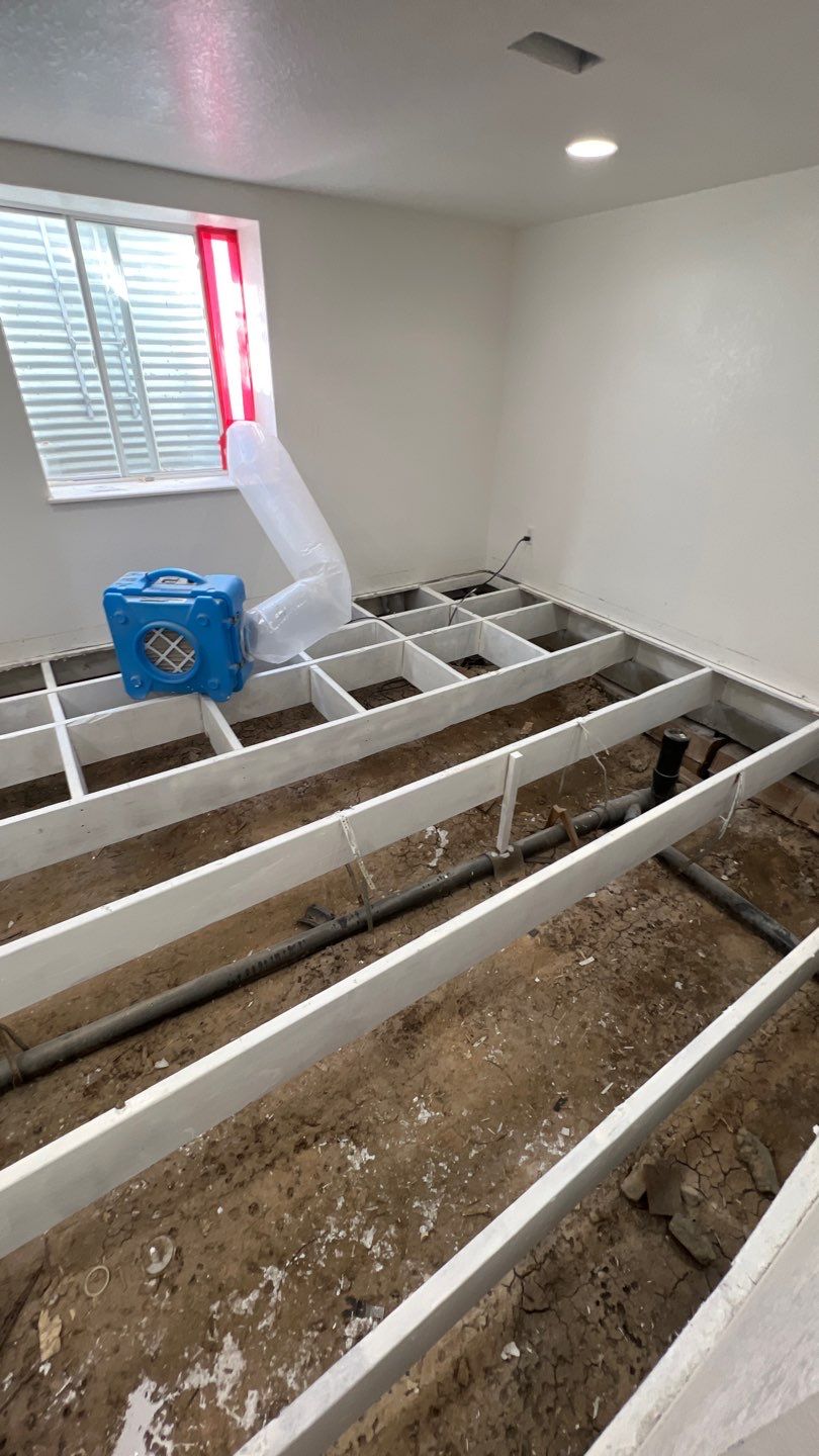 Mold Remediation by Accountable Home Services