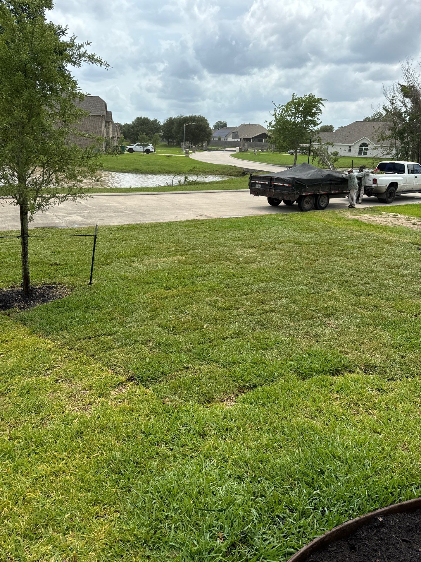 🌟 Mr. & Mrs. Wheeler’s Drainage & Landscape Transformation by Texas Urban Elements