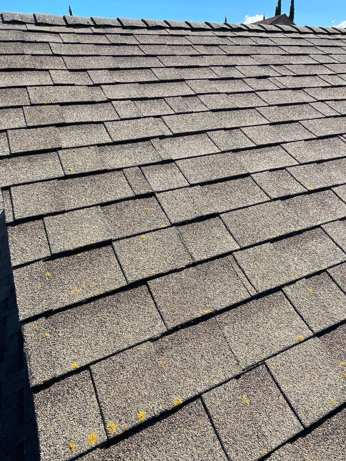 Roof Rejuvenation using Roof Maxx Treatment by Roof Maxx of Folsom
