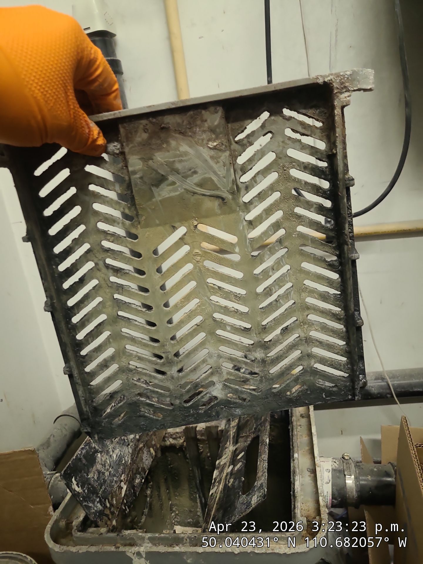 Specialized Plaster Trap and Drain Line Maintenance in Medicine Hat by Septic Medic Inc.