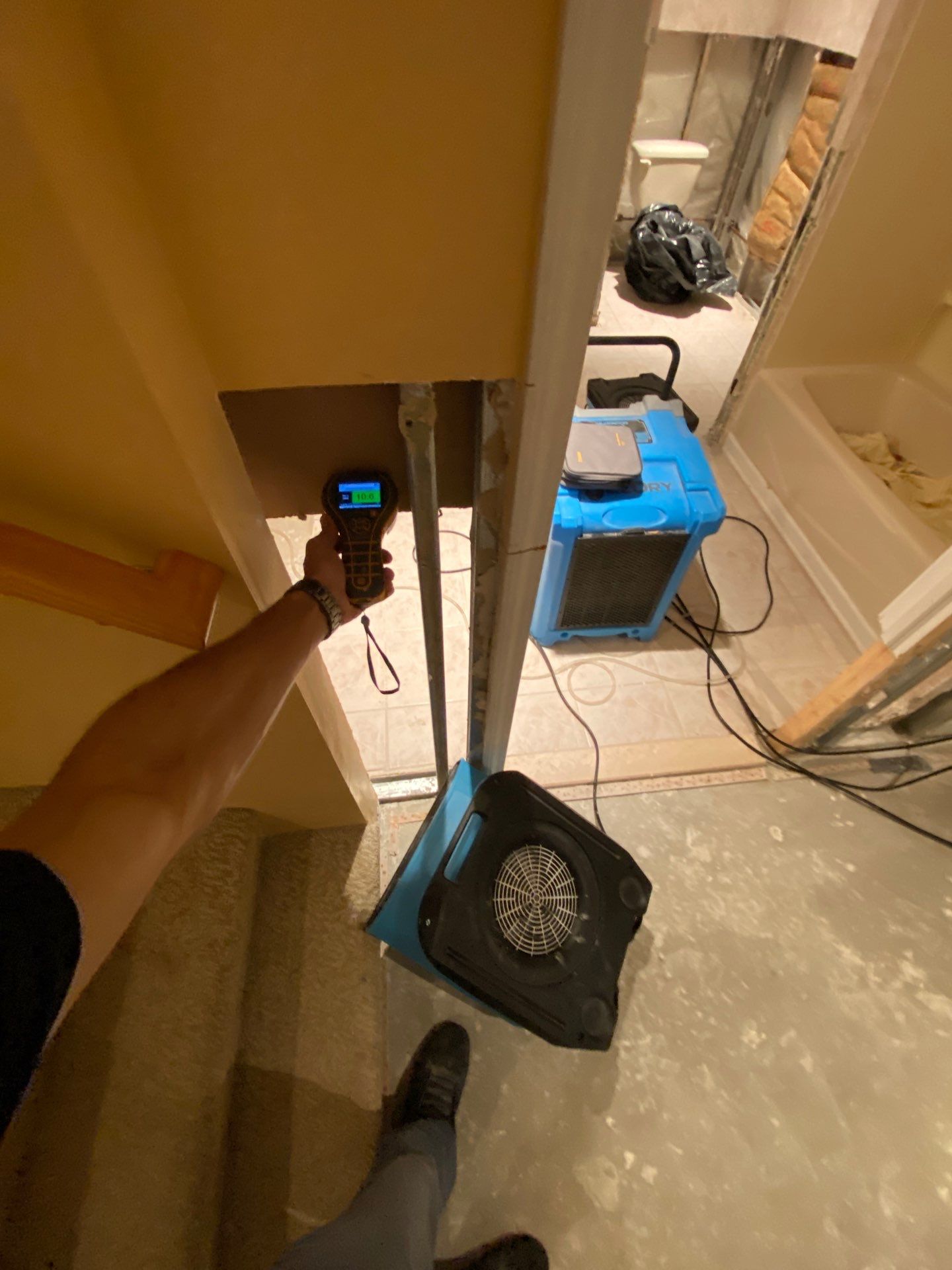 Project in Novi by EzDry Water Mitigation & Property Restoration