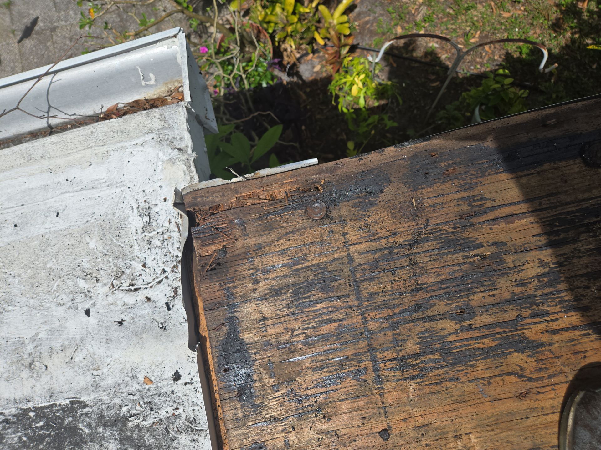 Project in Pinellas Park 33782 by Mitchell Roofing Company LLC 