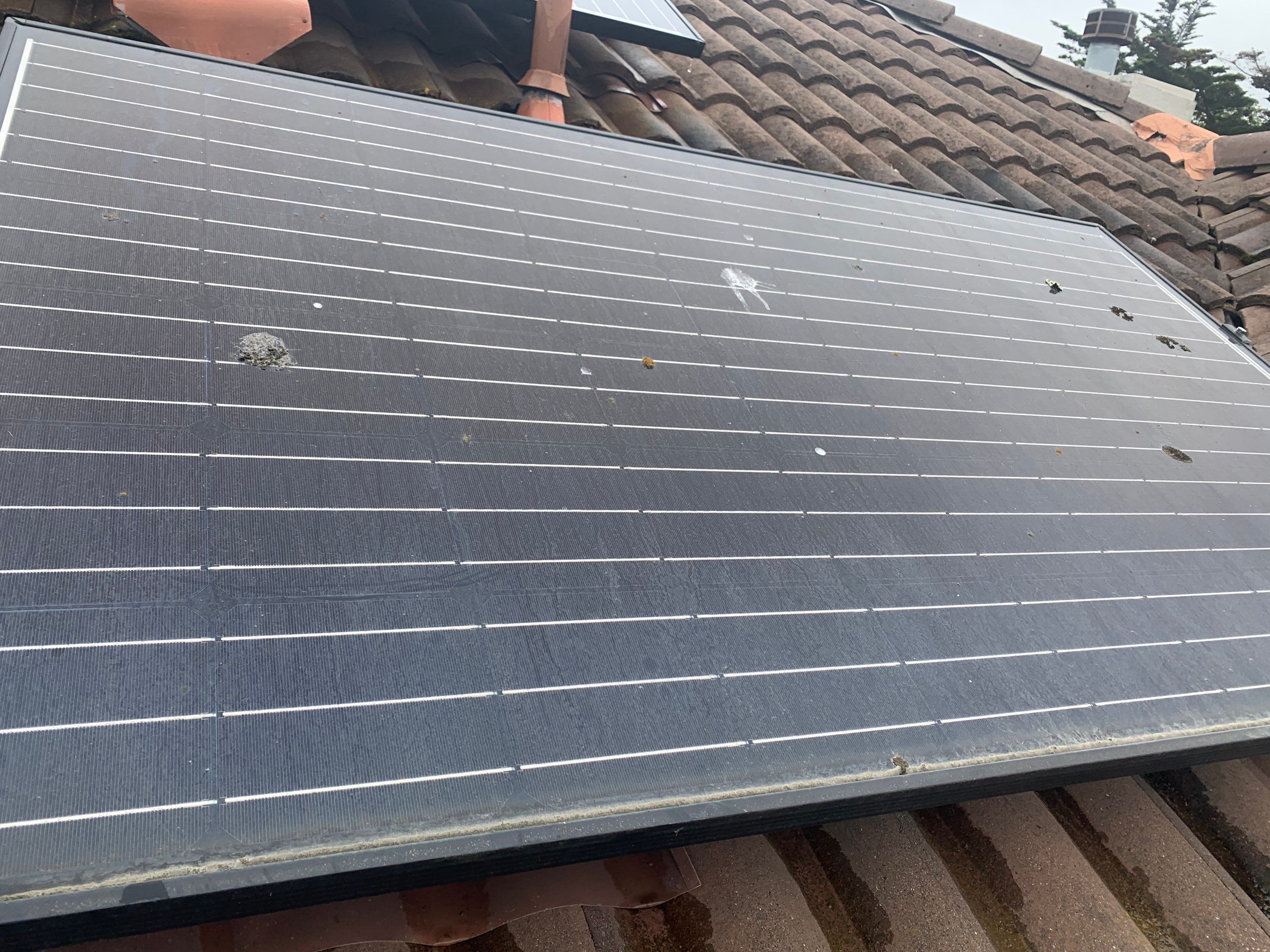 Rahul Prasad by SpotFree Window Cleaning