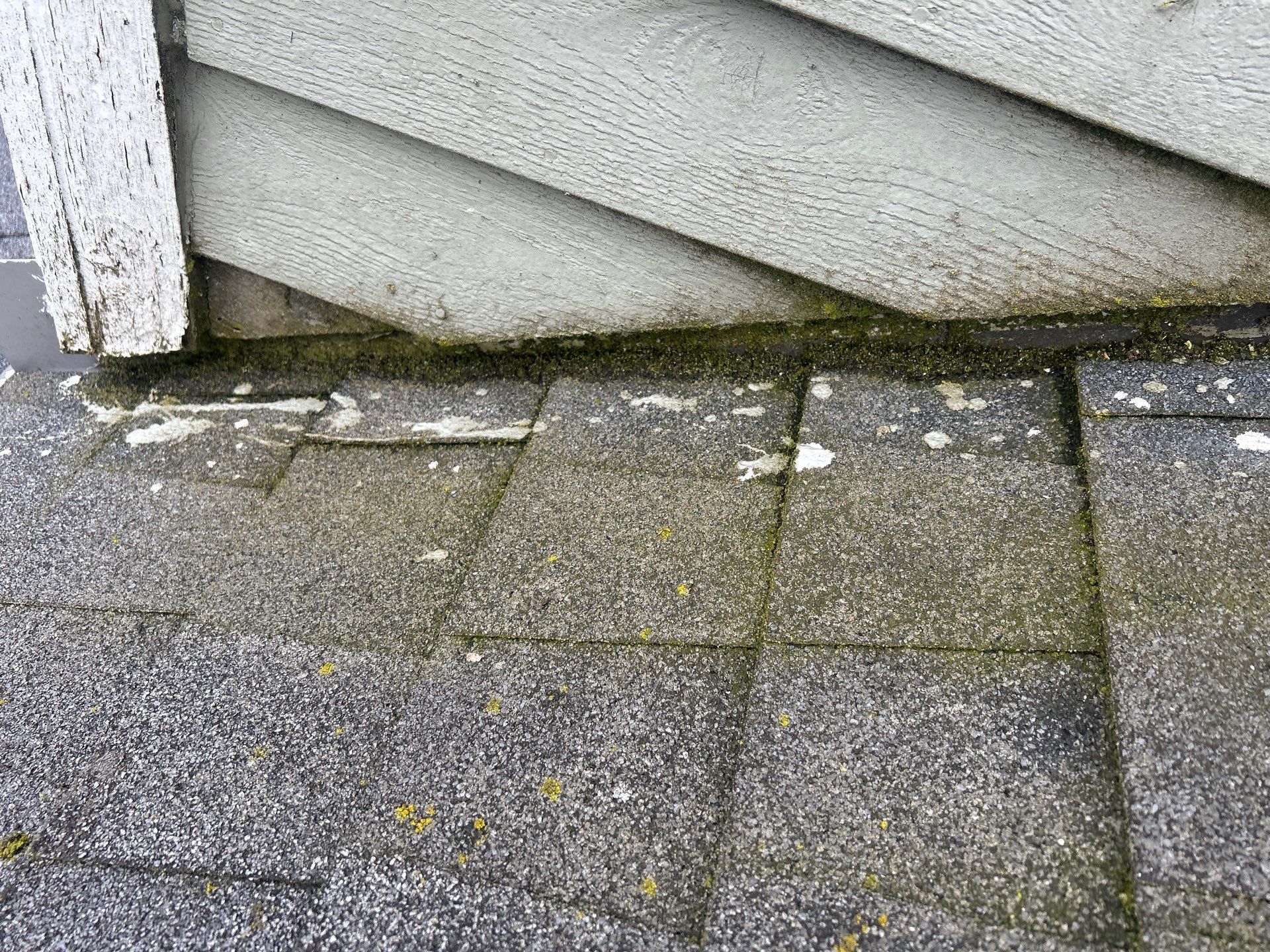 Project in Bellevue by Connolly Construction Company