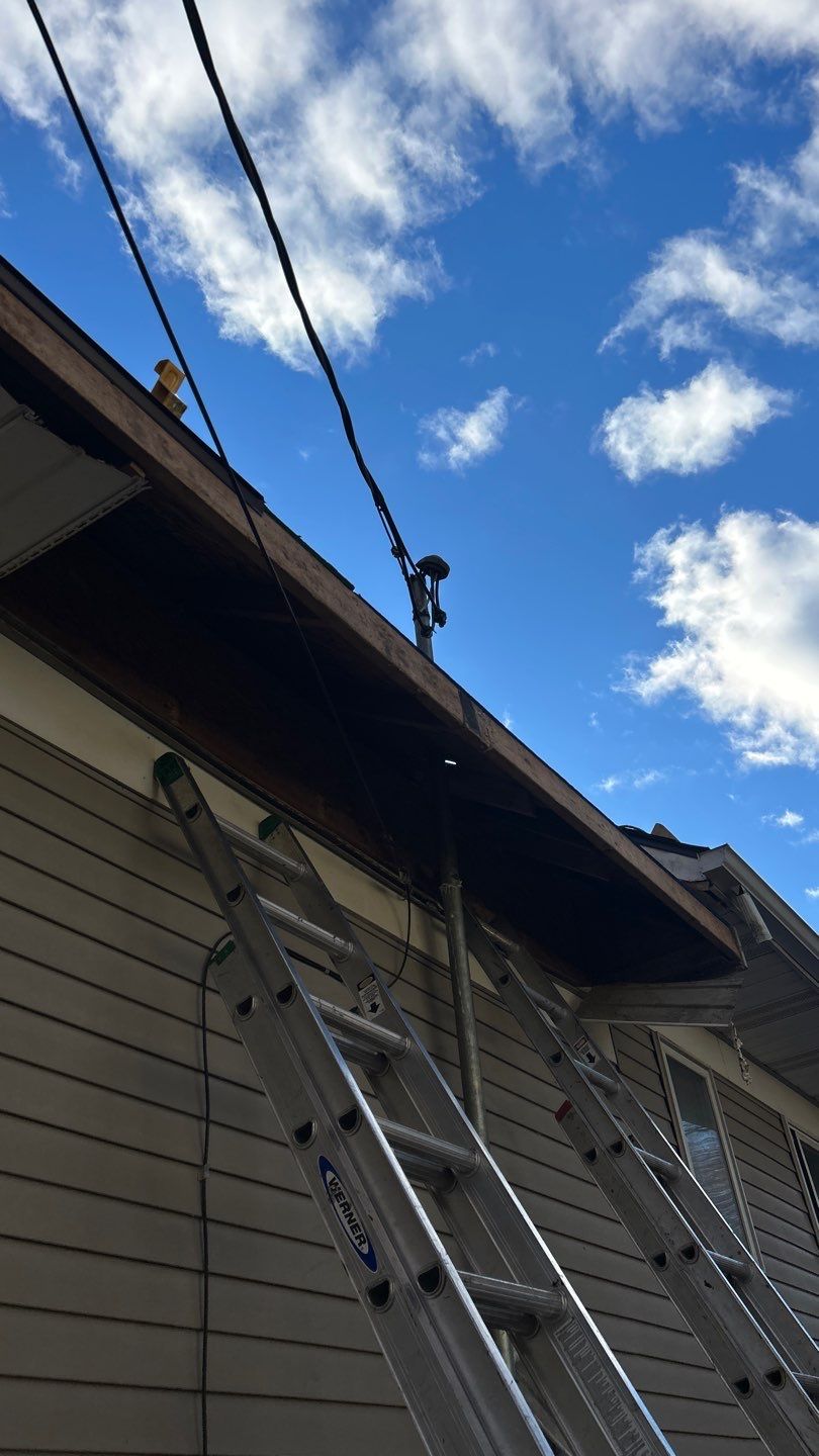 Tree Damage in Lake Orion, MI by Storm Guard - Metro Detroit North