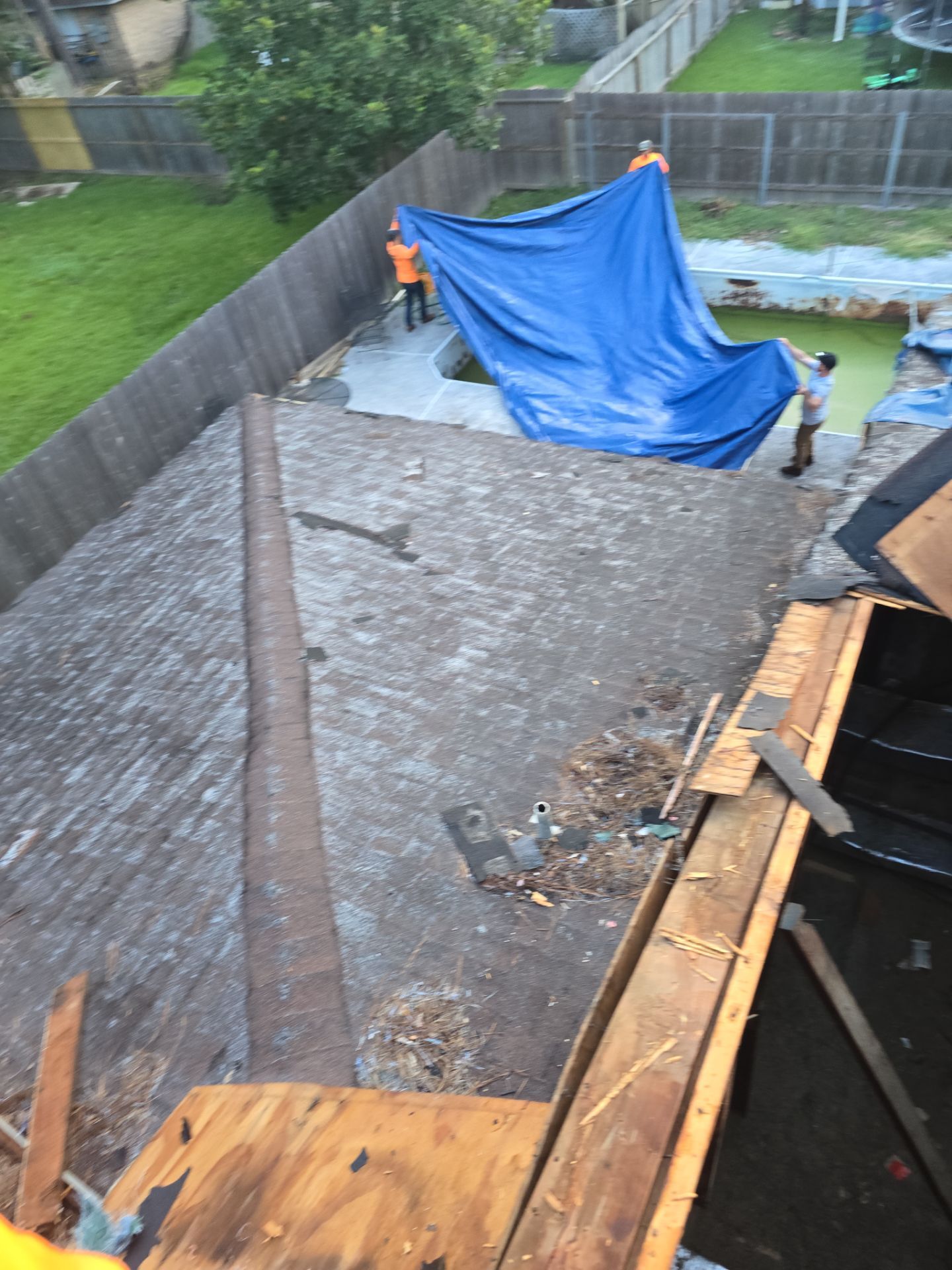 Roof Replacement Spring by Roof Repair Company