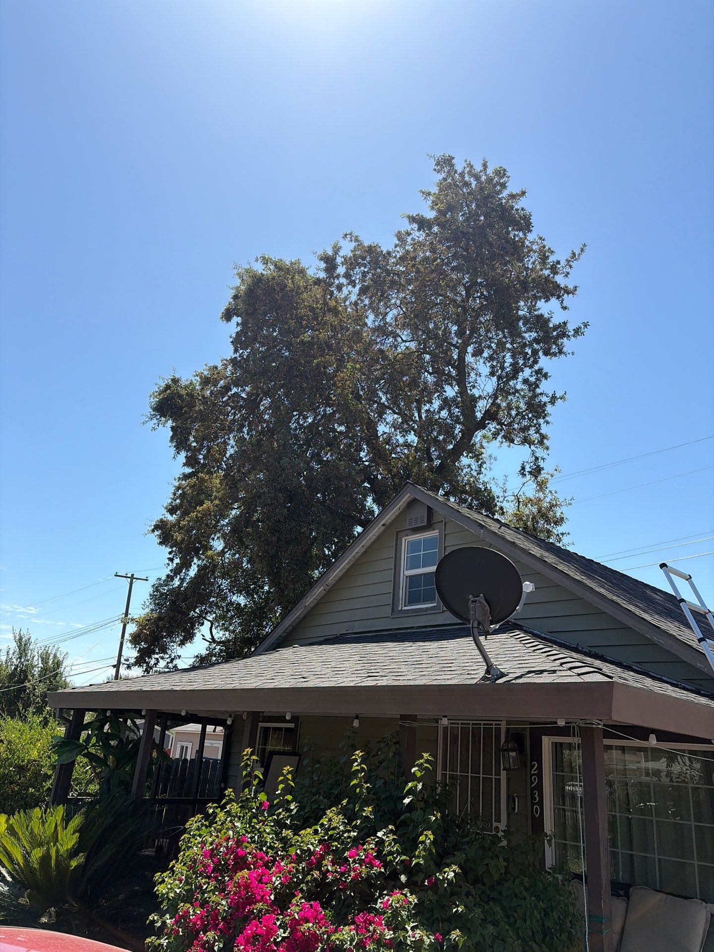 Roof Rejuvenation using Roof Maxx Treatment by Roof Maxx of Folsom