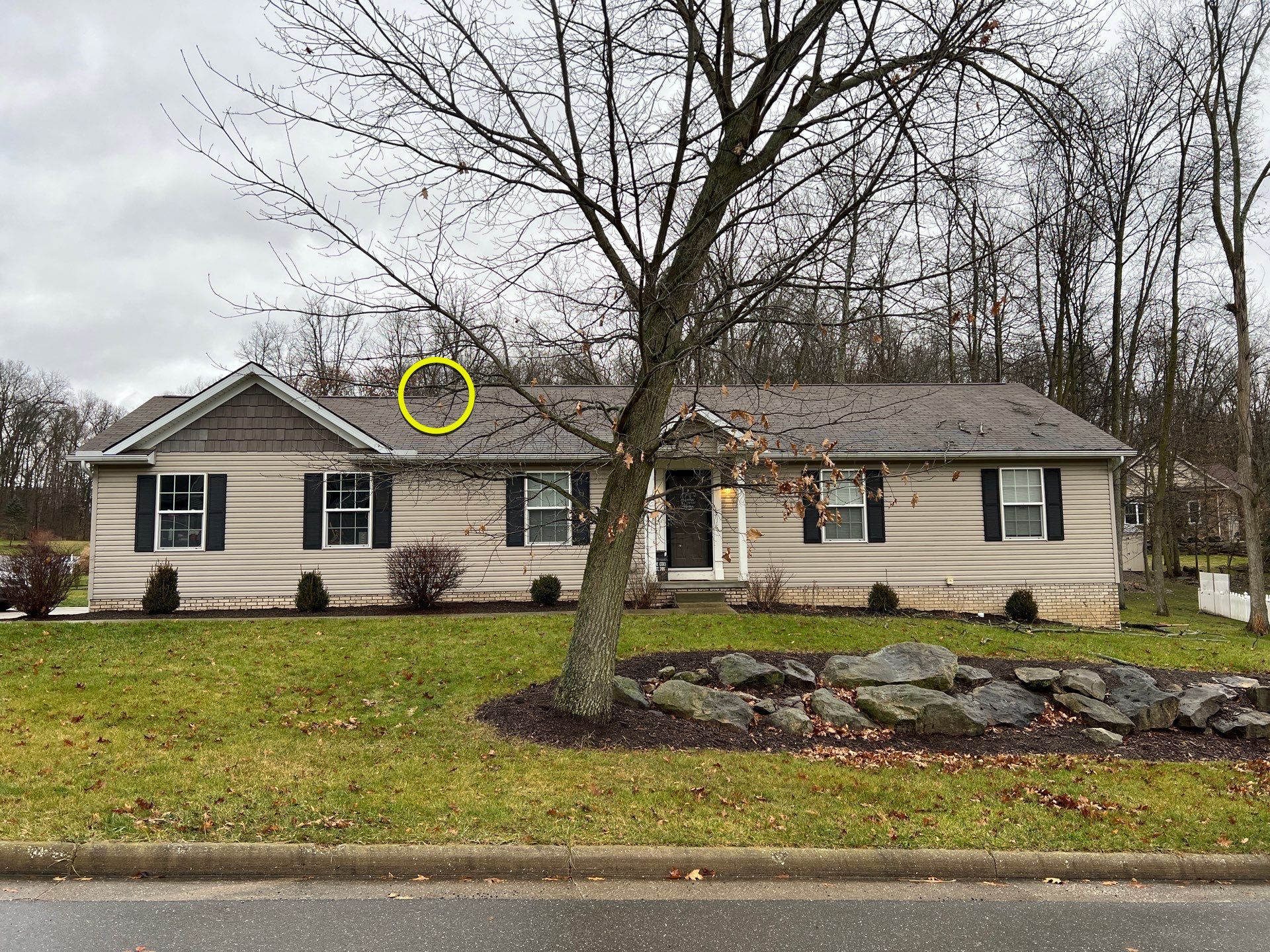 Tara Cox by Silver Leaf Contracting 
