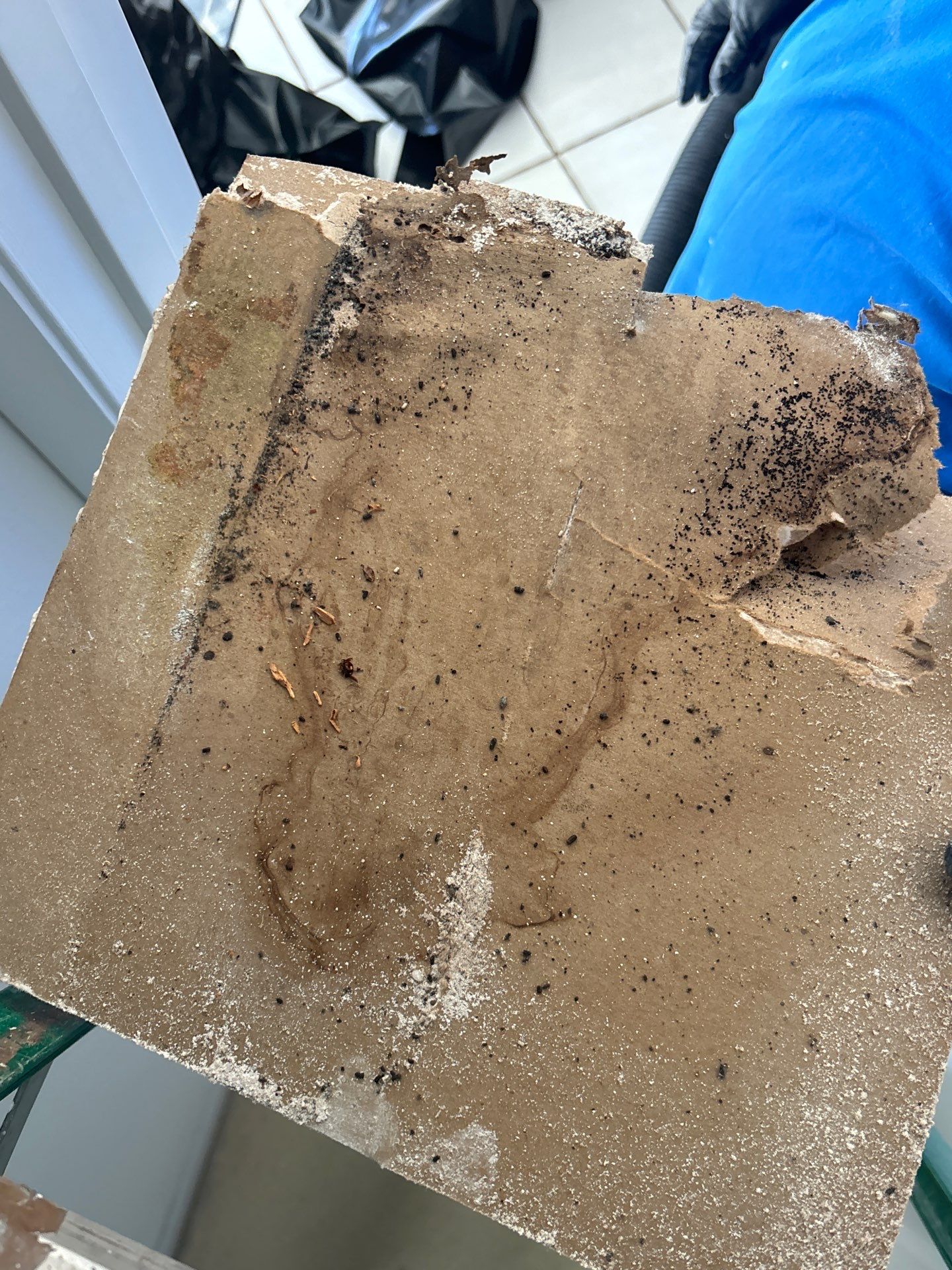 Water Restoration by Ampm Restoration Services