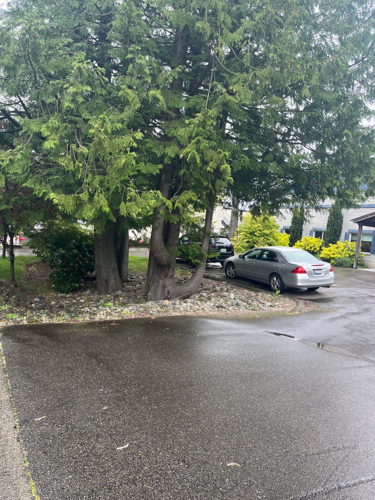 Jacob | Asphalt Striping   by Jireh Asphalt & Concrete Inc 