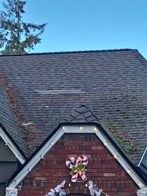 Roof Repair Project in Burien