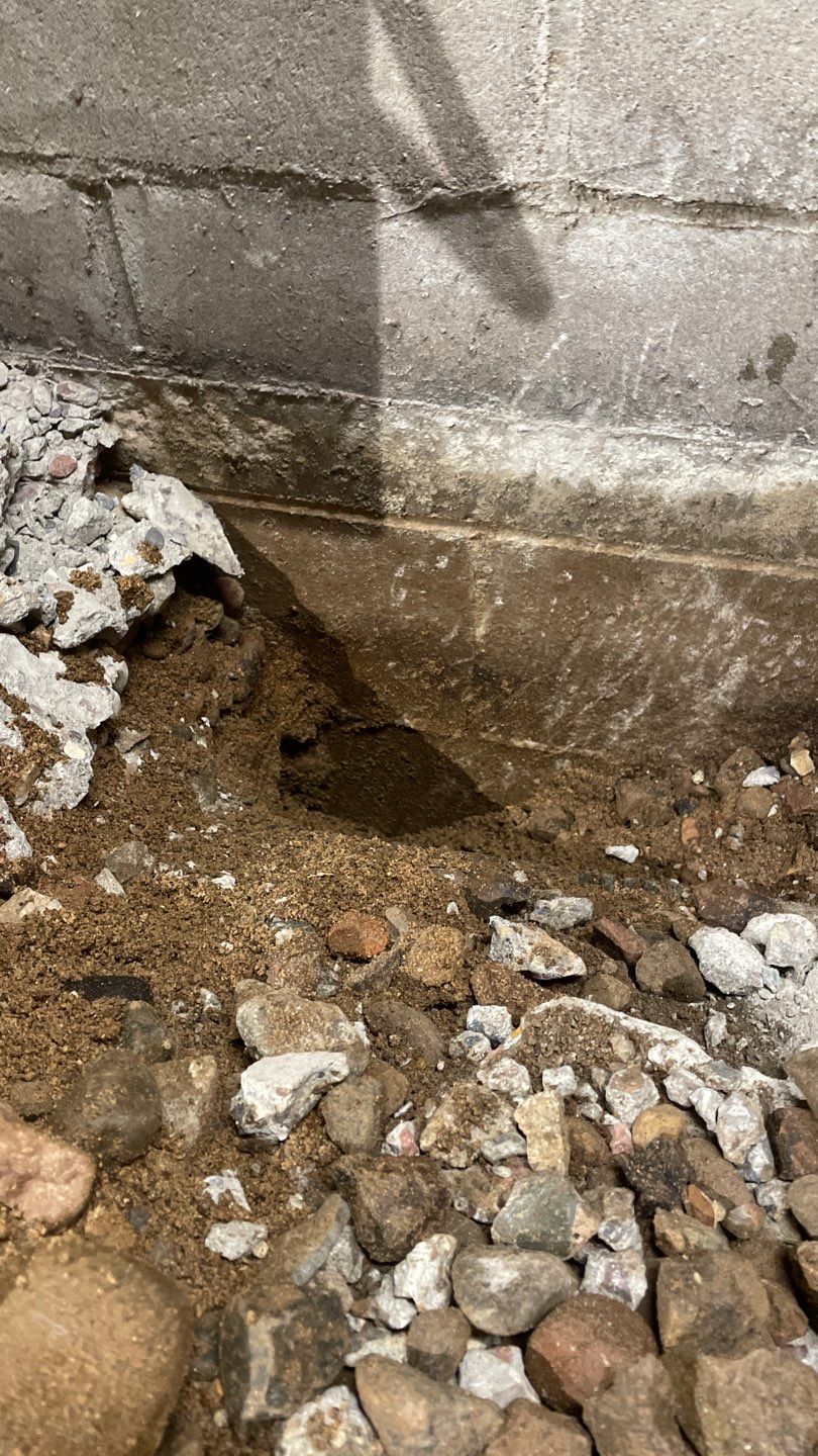 Drainage Board Installation in Shoreview by Waterproofing Northeast