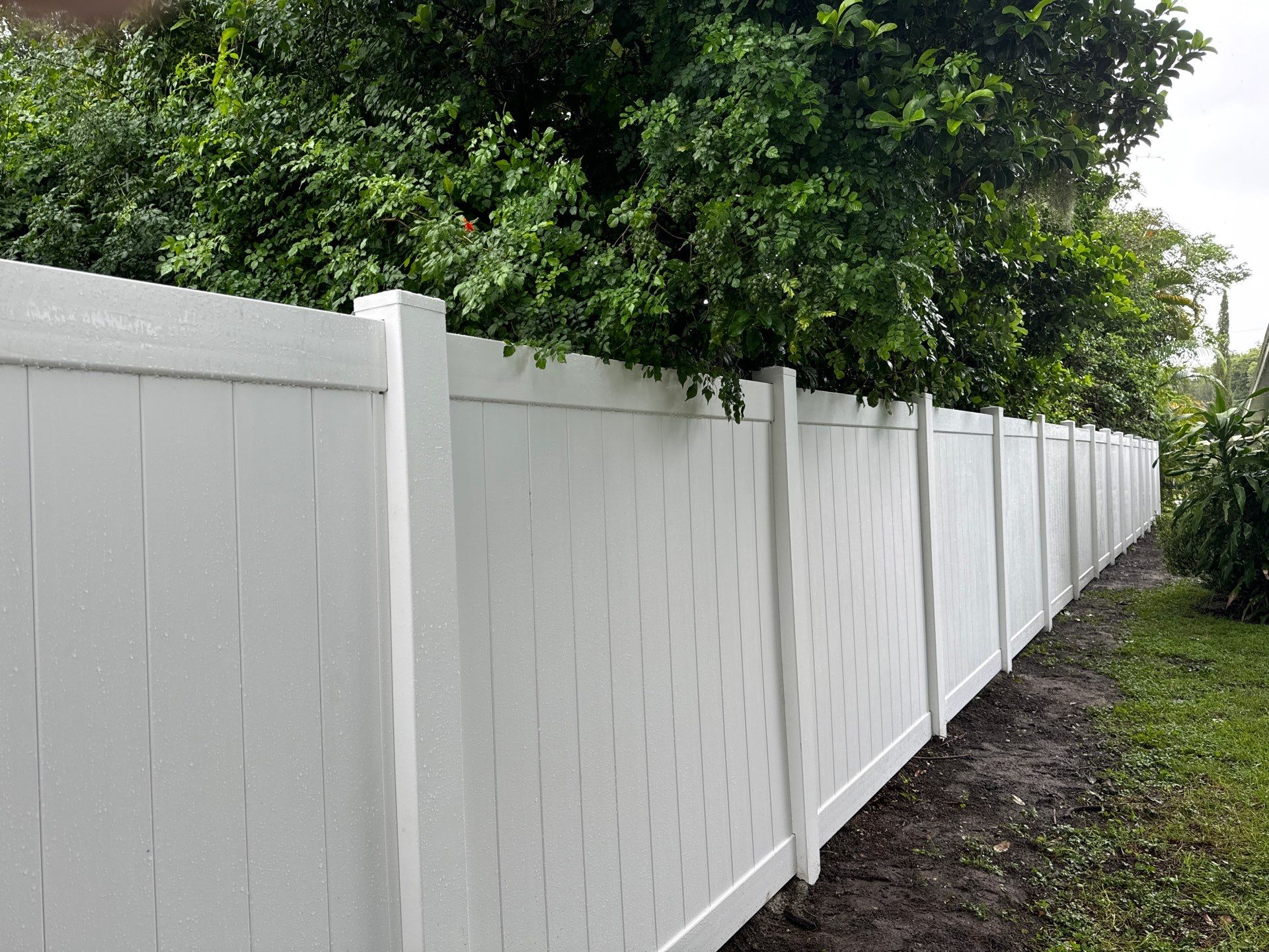 Vinyl Privacy Fence using 6Ft Vinyl Privacy Fence by Asap fence and gates, LLC