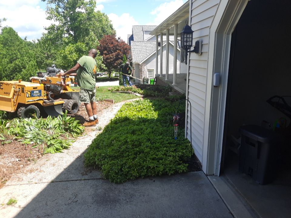 Tree Removal using Tree Removal by Mike Jones & Sons Tree Service LLC 