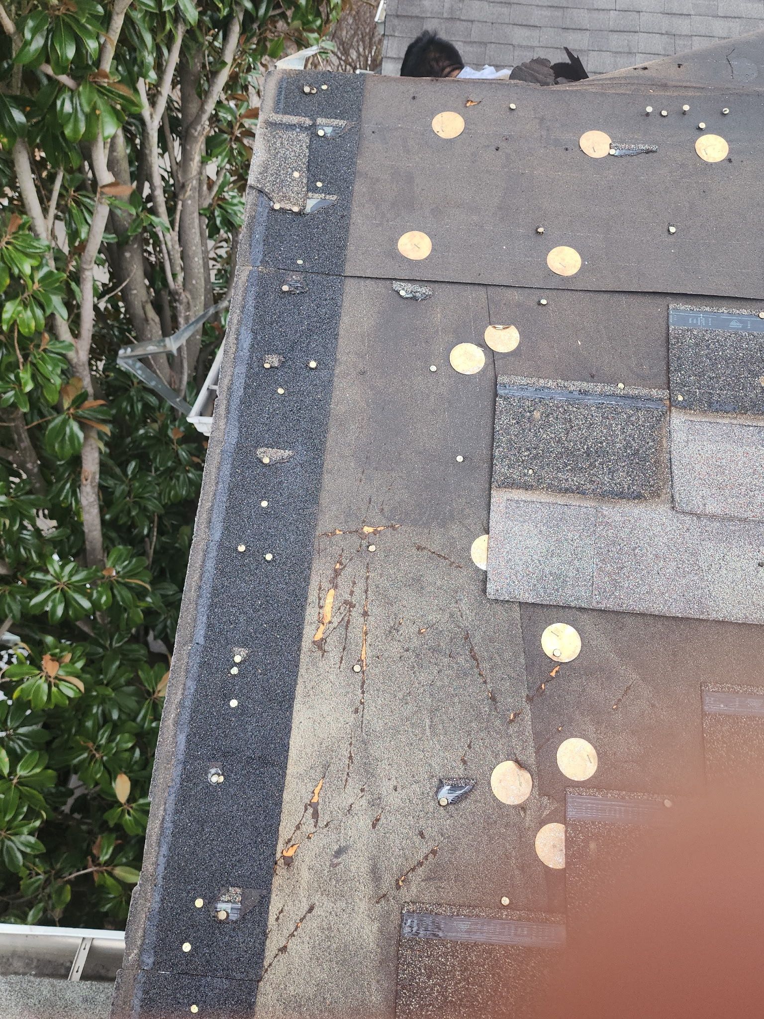 Tall, tall, tall by REPS Austin Area Roofer