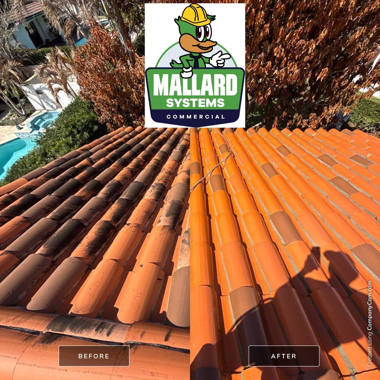 Tile Roof Cleaning by Mallard Systems