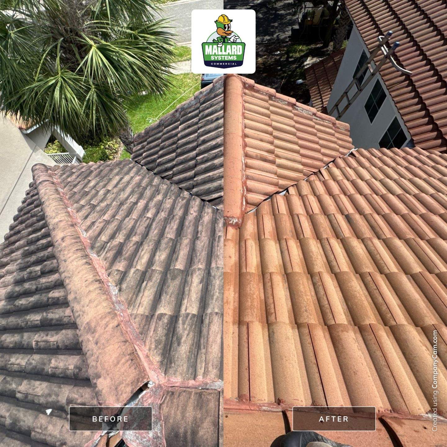 Barrel Tile Roof Cleaning by Mallard Systems