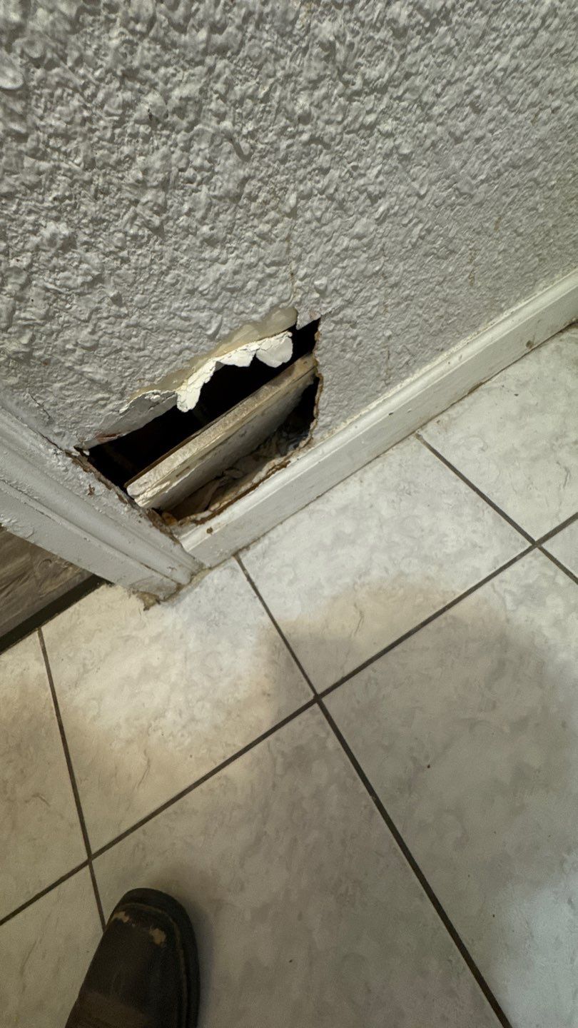 Mold Damage Project in Denver by Accountable Home Services