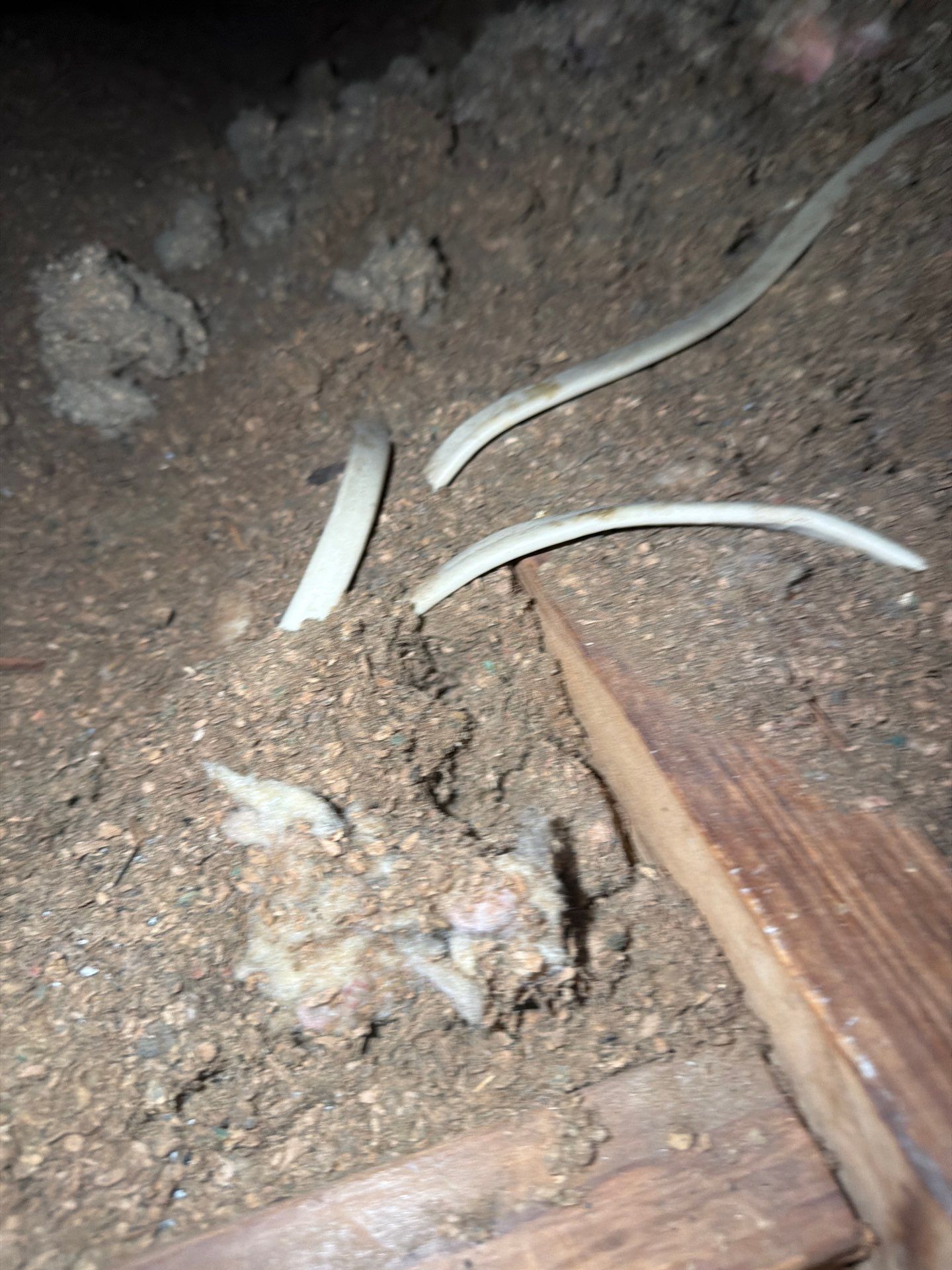 Randallstown Residence  by Smart Energy Pros