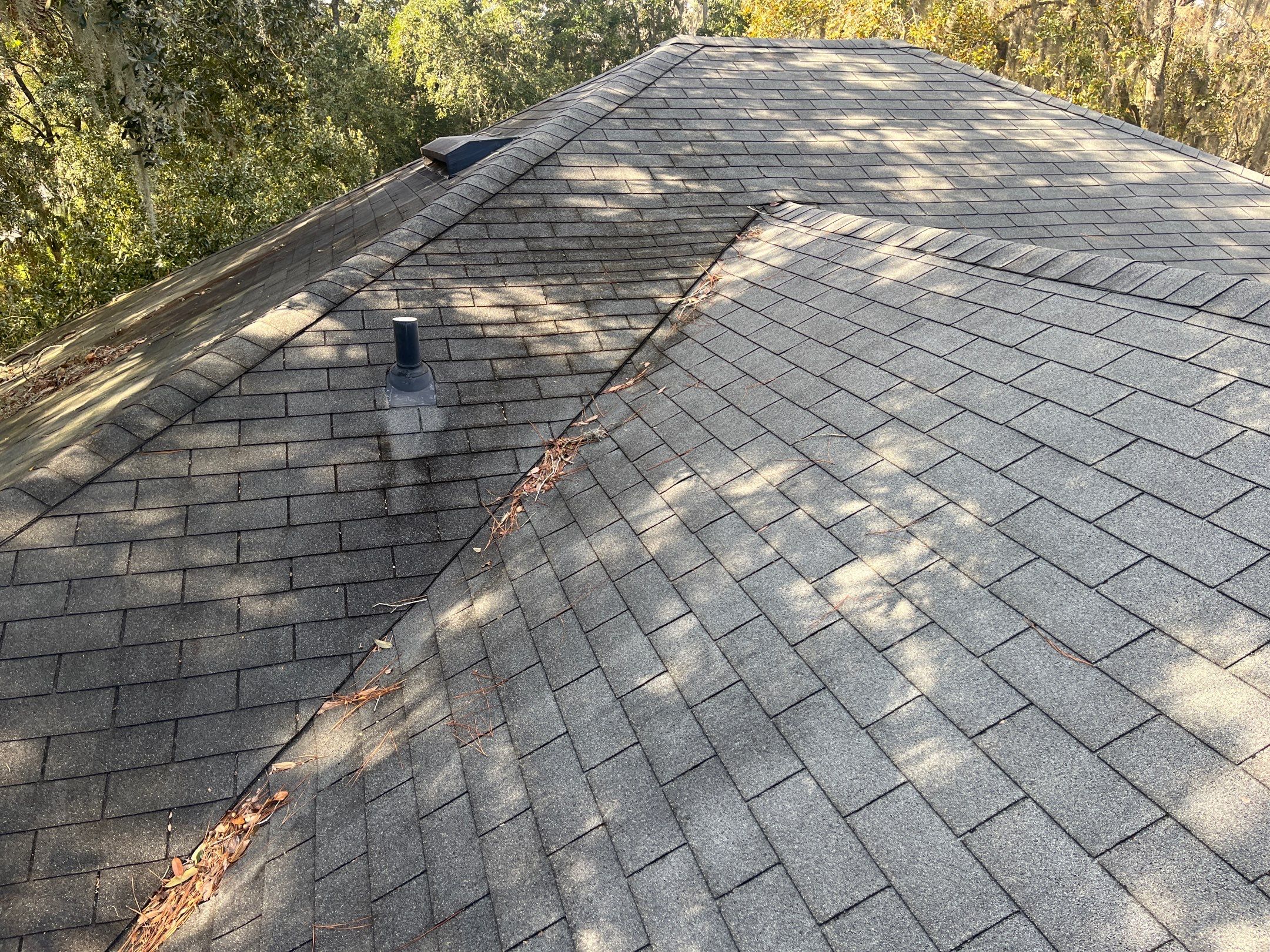 Shingle -> Shingle by Prime Roofing