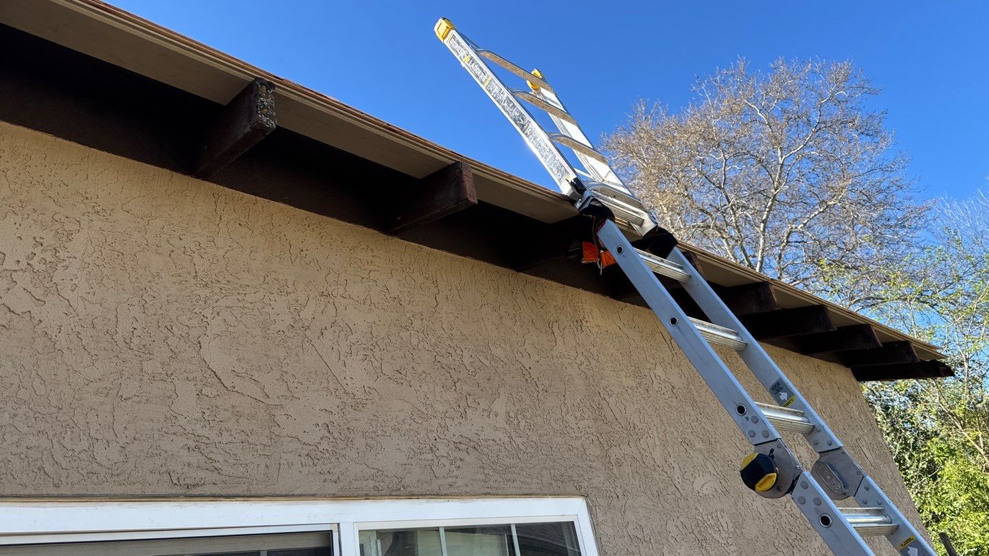 Willa Holmstock by NuLead Construction Inc