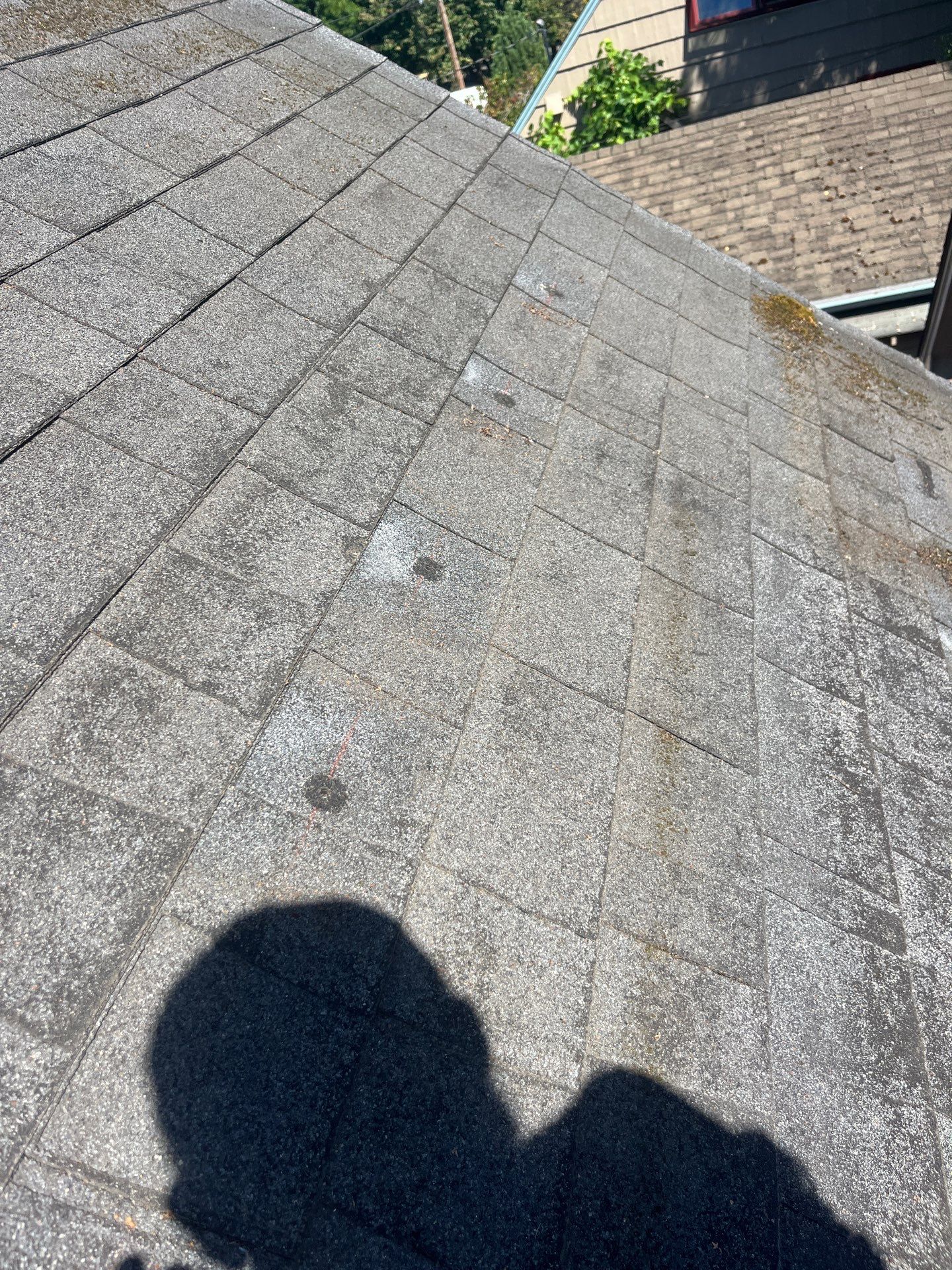 Project in Portland by Tom Leach Roofing