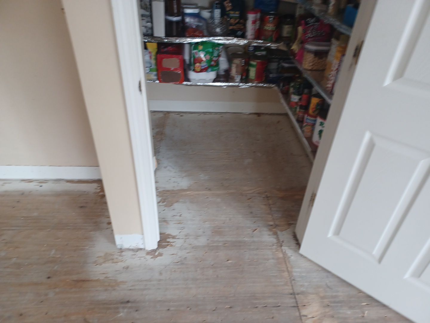 Project in West Bloomfield by EzDry Water Mitigation & Property Restoration