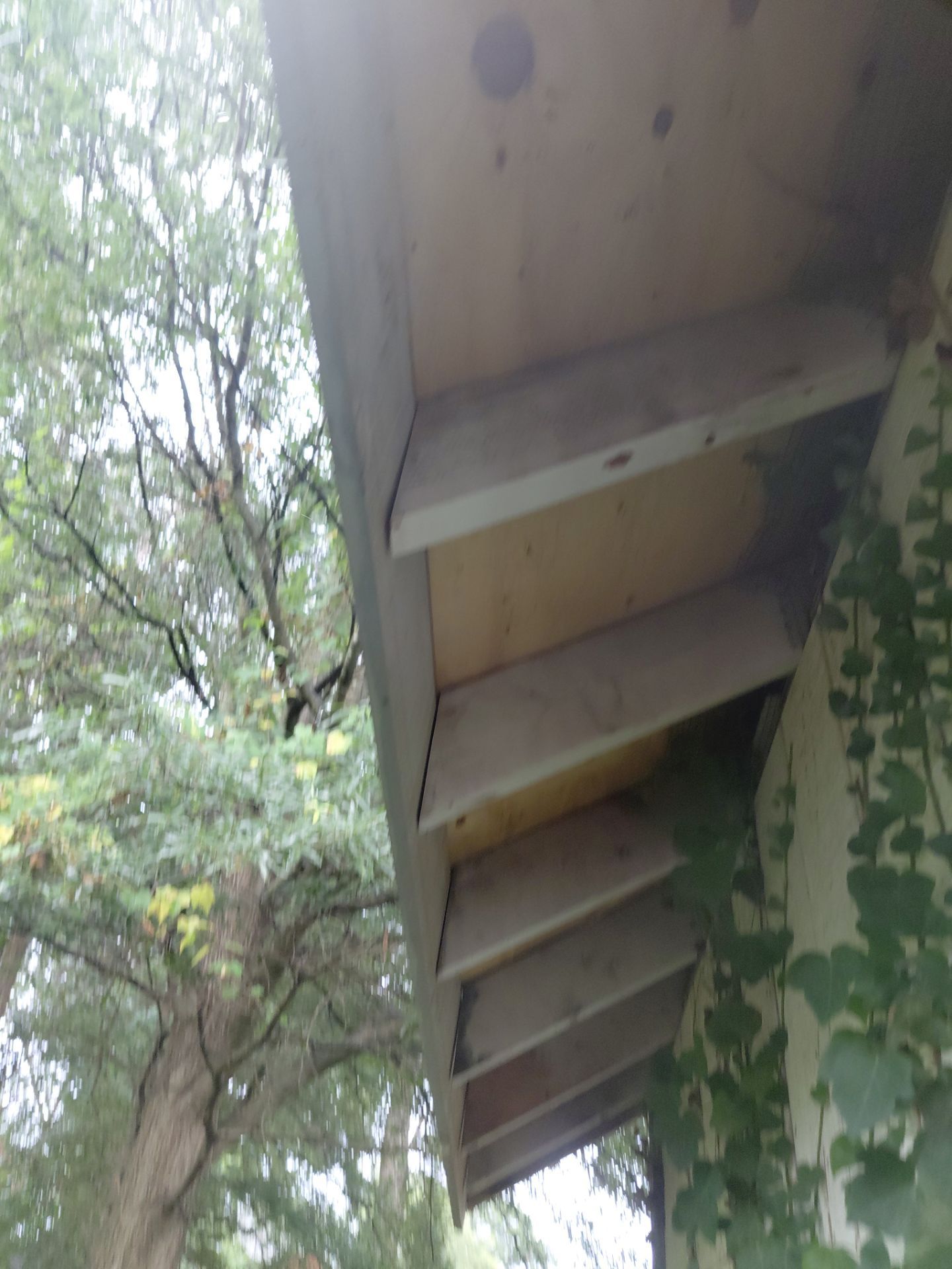 Alexandria :Residential Roof Replacement with CertainTeed Landmark Pro in Max Def Cobblestone Gray by RM Banning, Inc.