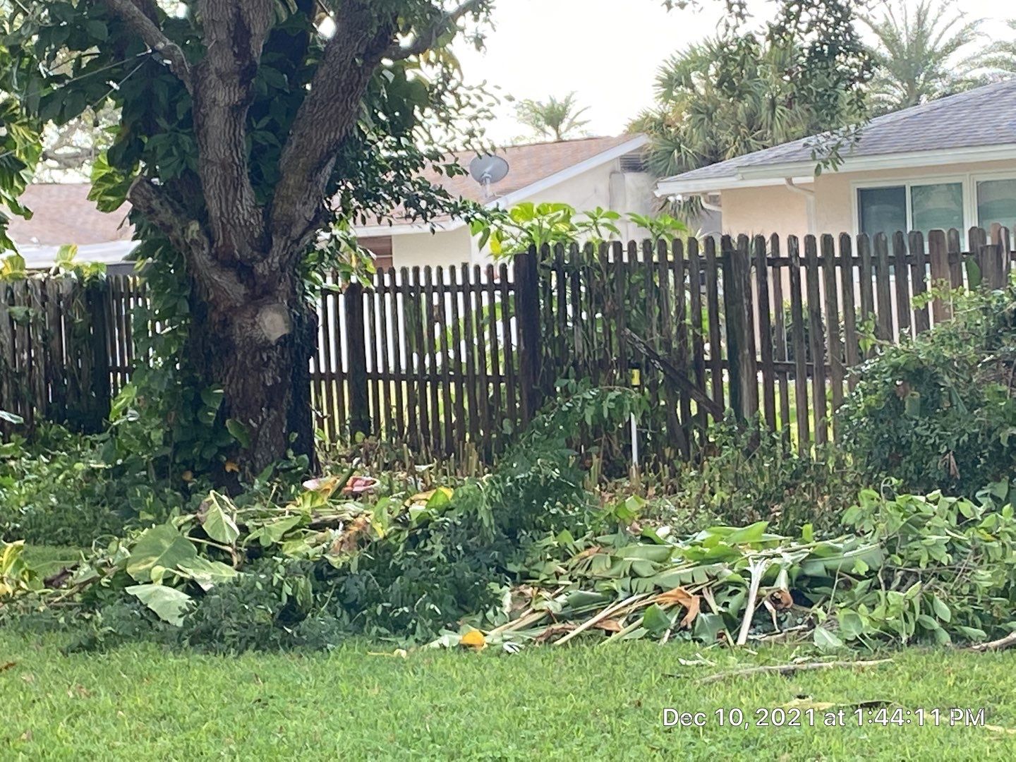 Venice, FL 6 ft. Tall Treated Board on Board Privacy Fence  by Asap fence and gates, LLC