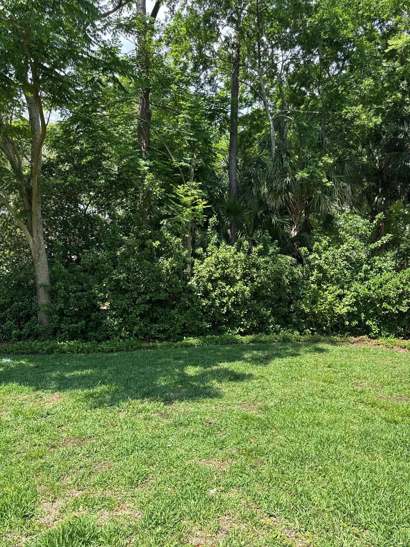 Deerwood Resident | Tree Removal by ProGreen Services