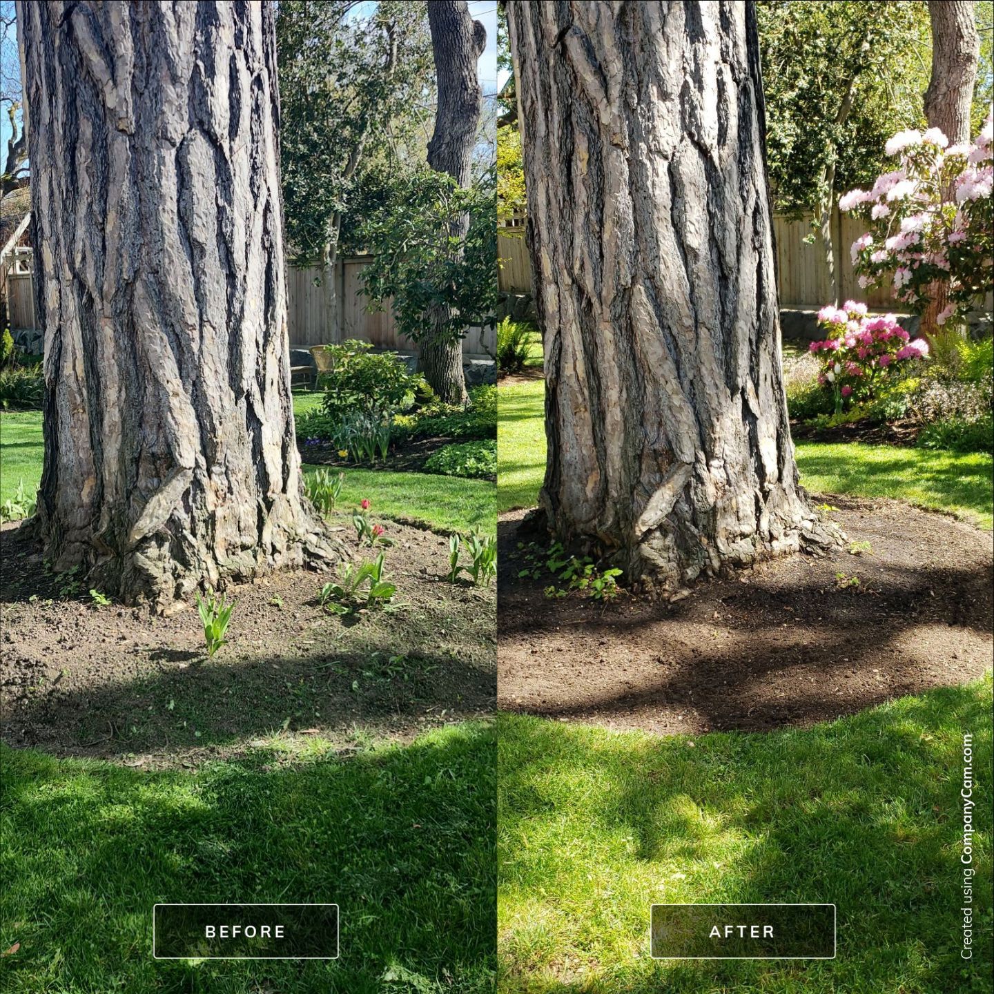 Garden Care - Rockland Residence by Habanero Garden and Exterior Care