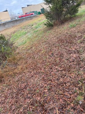 Project in Mebane