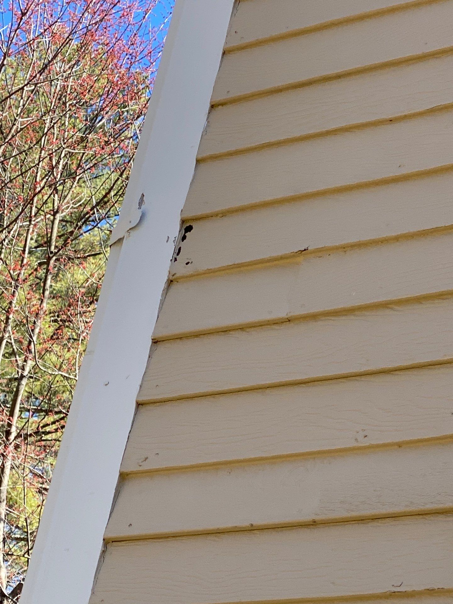 Siding | Andover by Mighty Dog Roofing of Greater Middlesex County