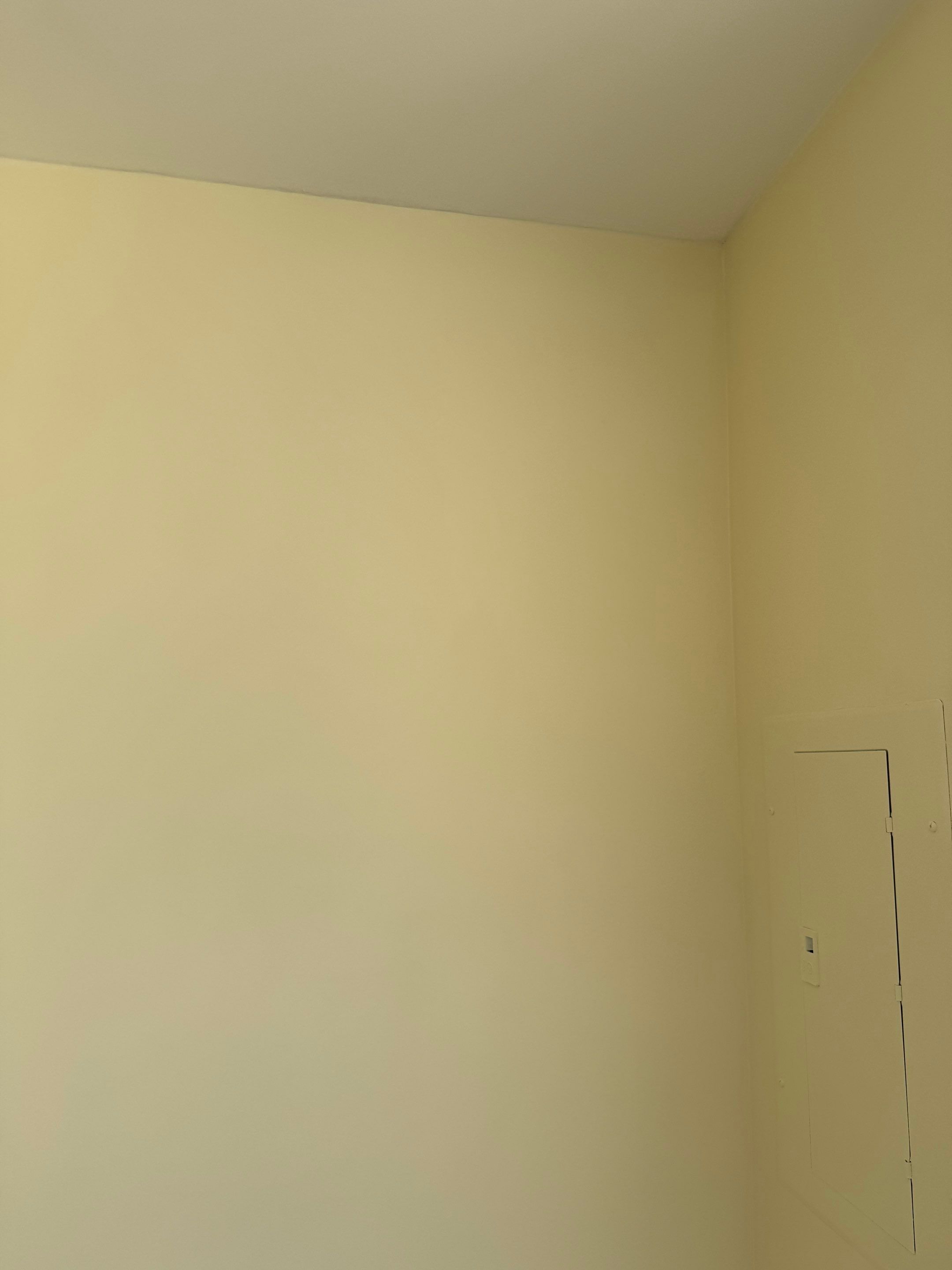 Touch up and painting project  by YVR Construction Group