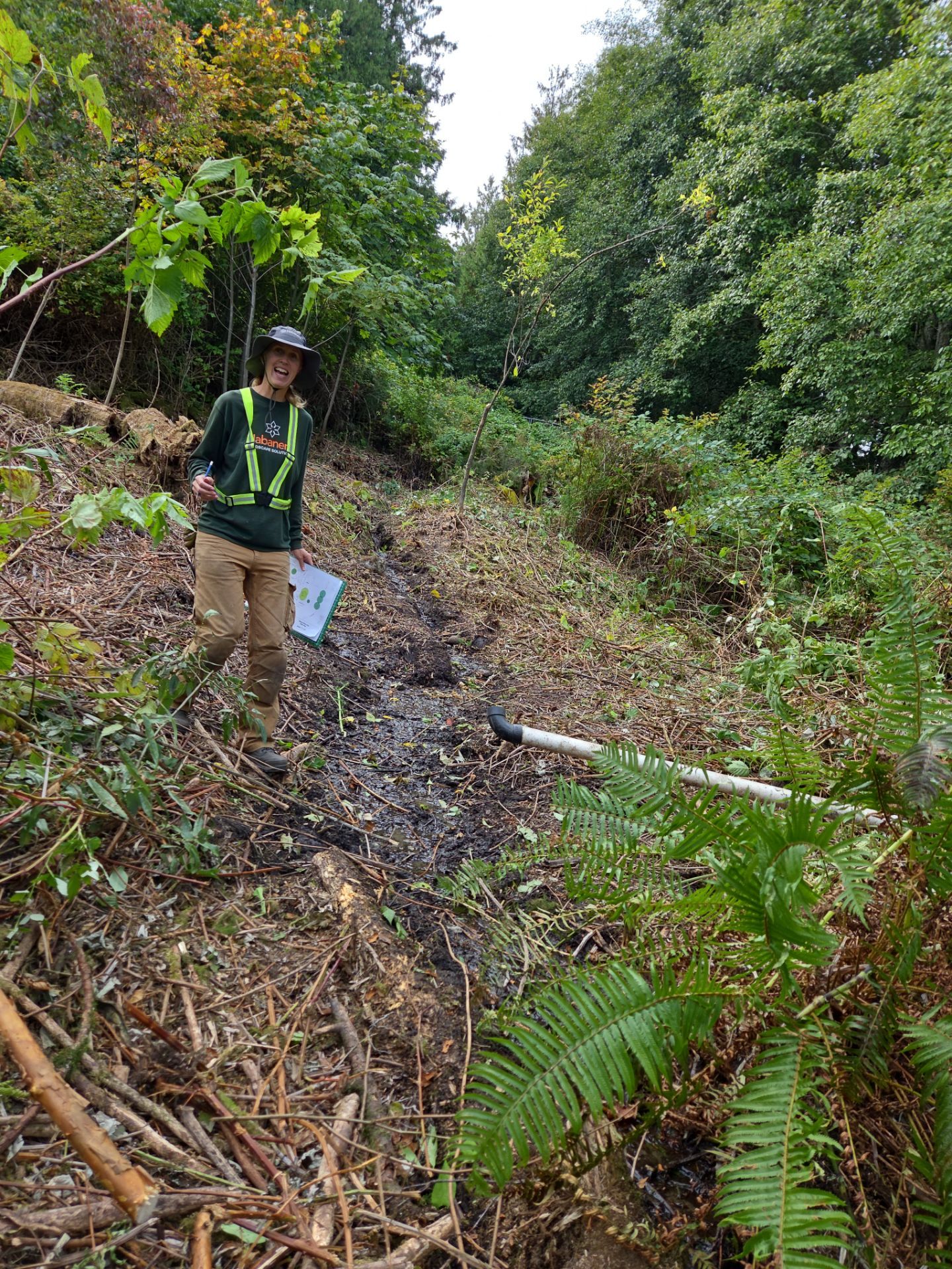 Island View - Ecological Restoration & Stewardship by Habanero Landscape Solutions