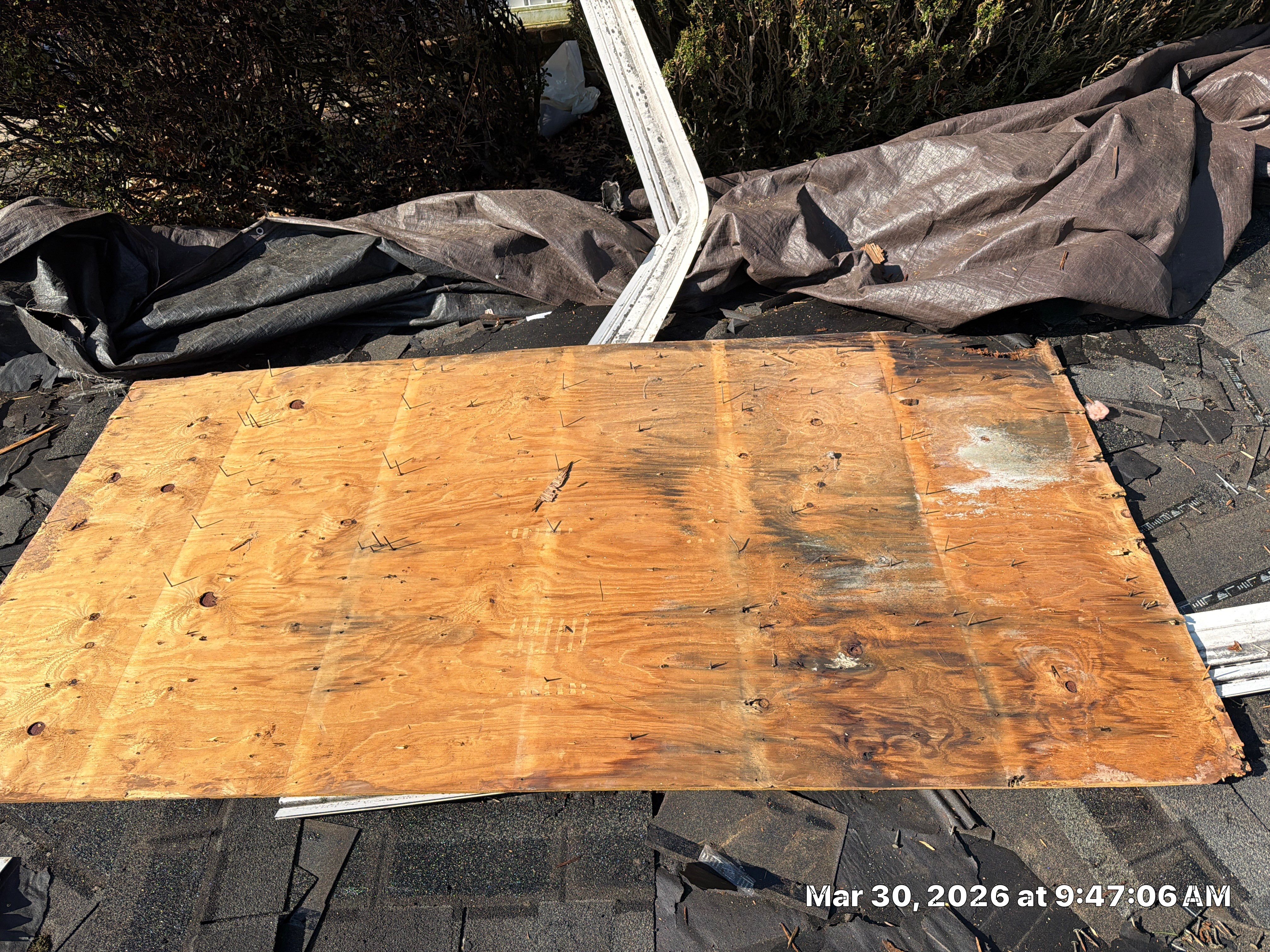 Project in Ivyland by Stofan Construction LLC