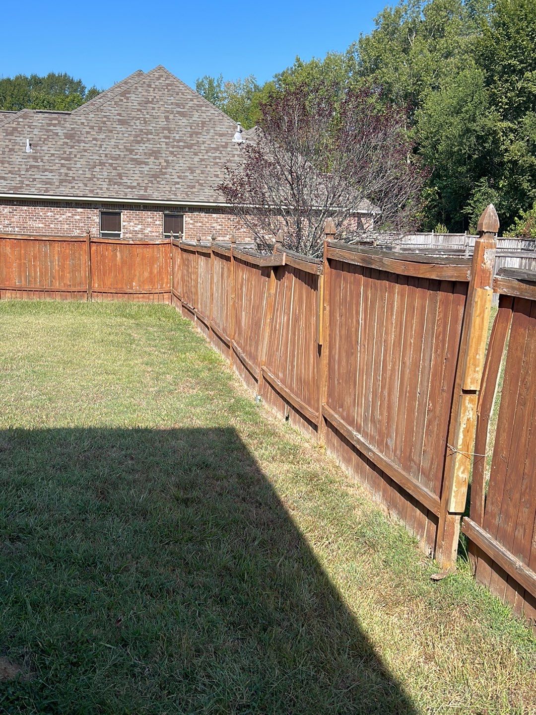 6ft Treated Pine Good Neighbor French Gothic  by Roberson Construction LLC