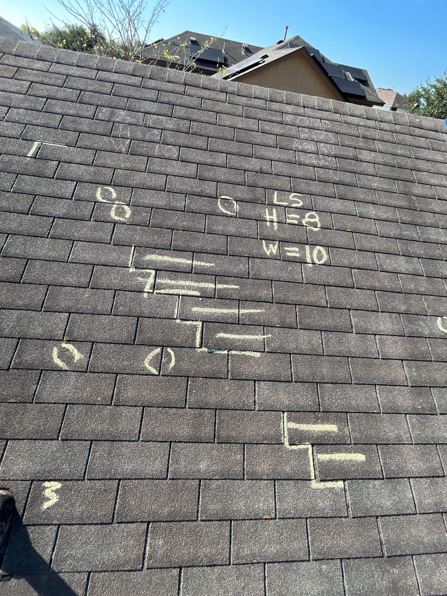 Miss Bridgette by REPS Austin Area Roofer