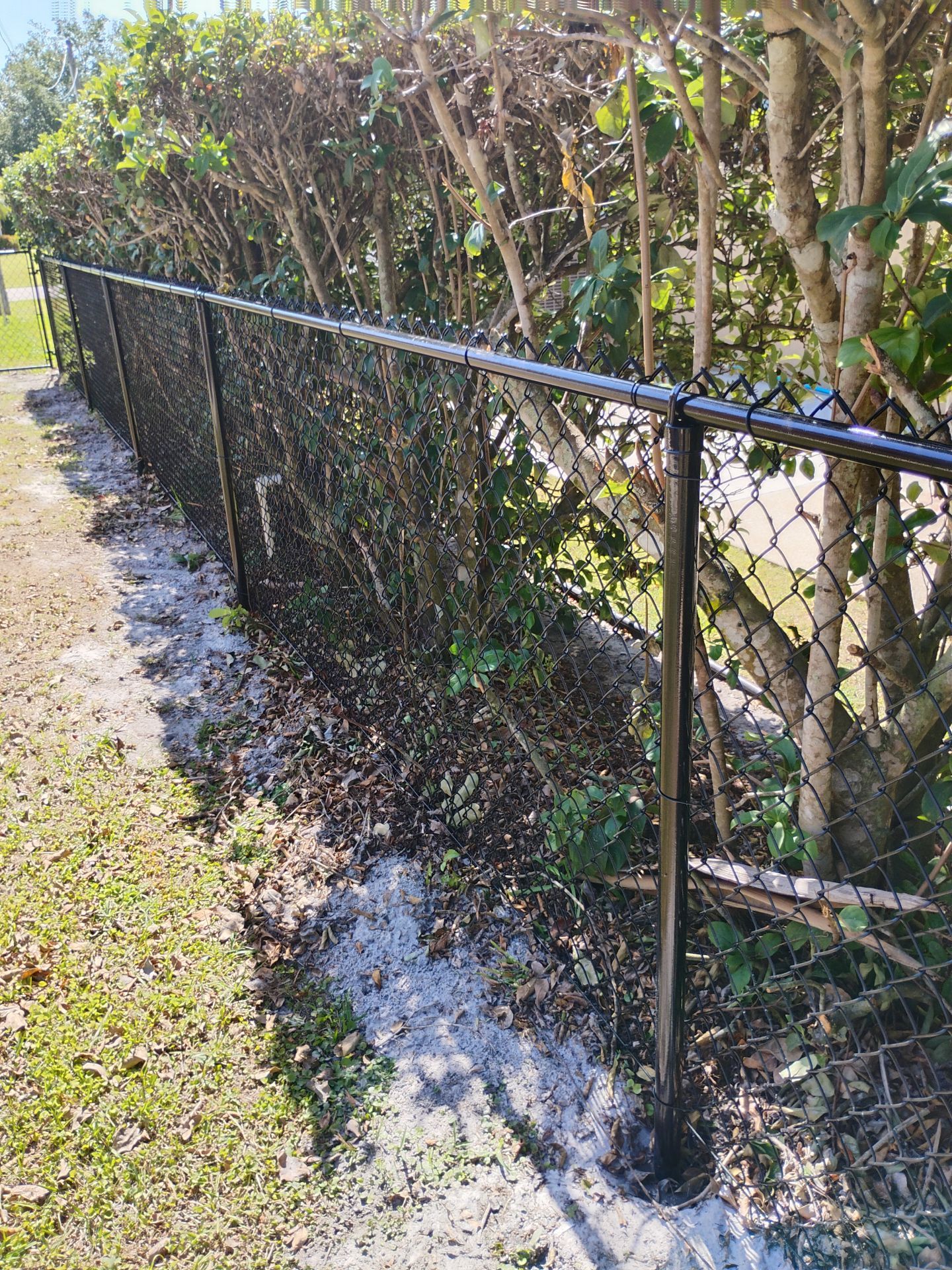 Chain Link Fence in Punta Gorda by True Fence LLC