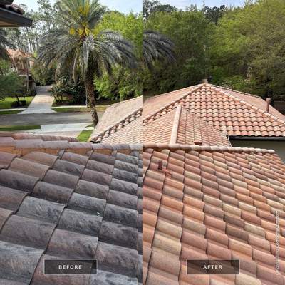 Tile Roof Cleaning