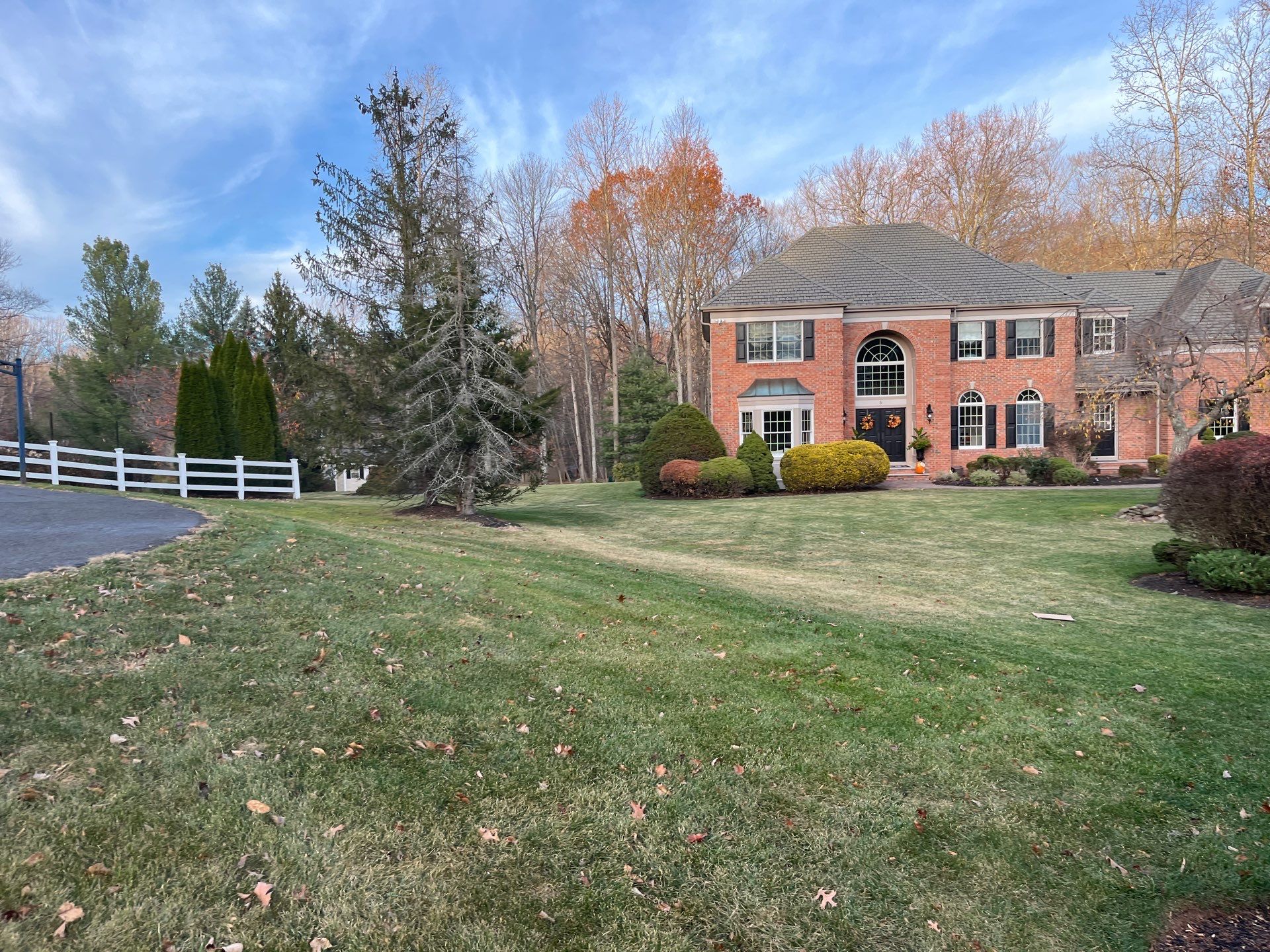 Comprehensive Lawn Care in Warren by Ants Plants