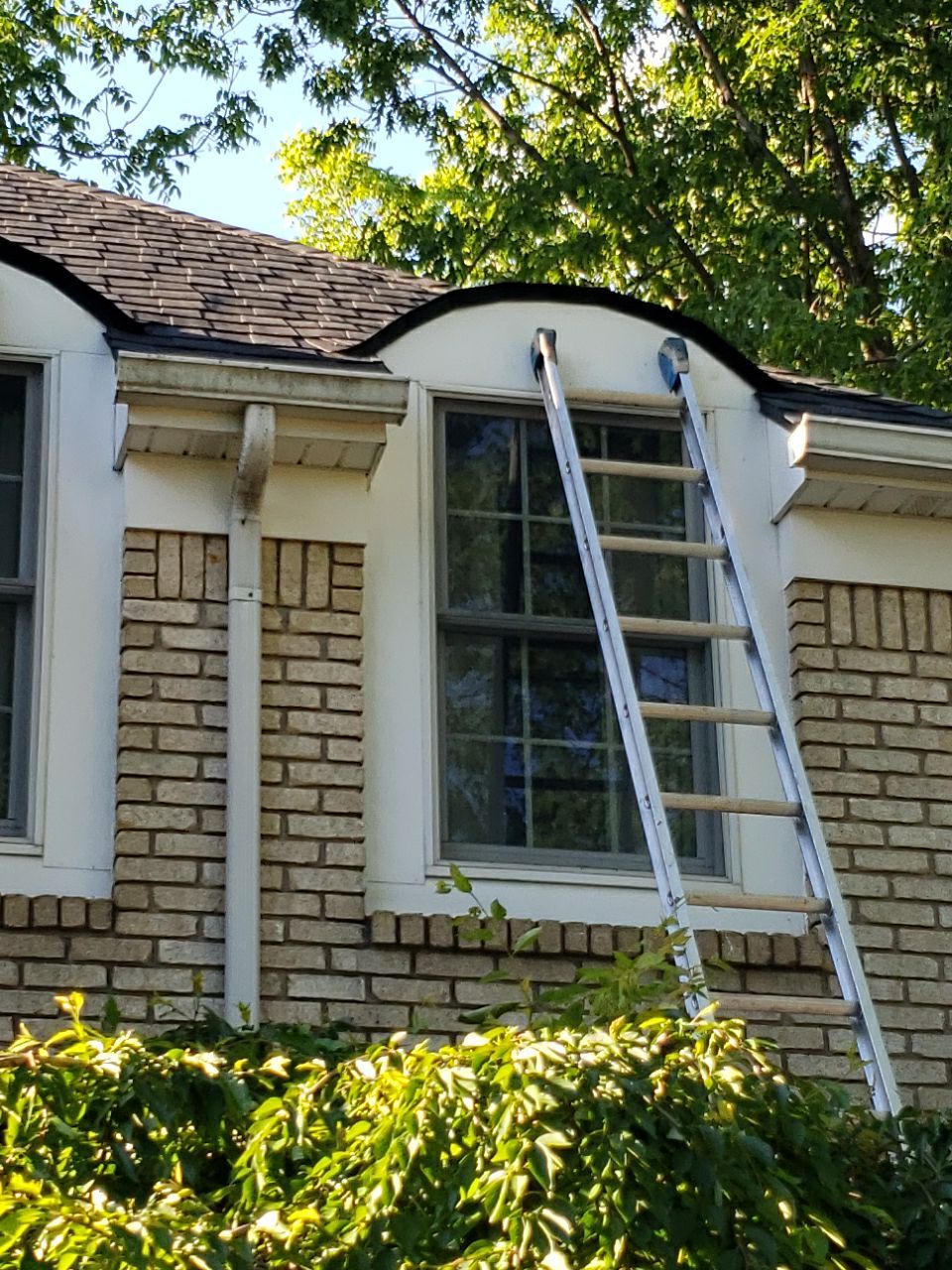 Brand: Atlas Pinnacle Color: Pristine Scotchgarde Black Drip: Black by Eagle Eye Roofing